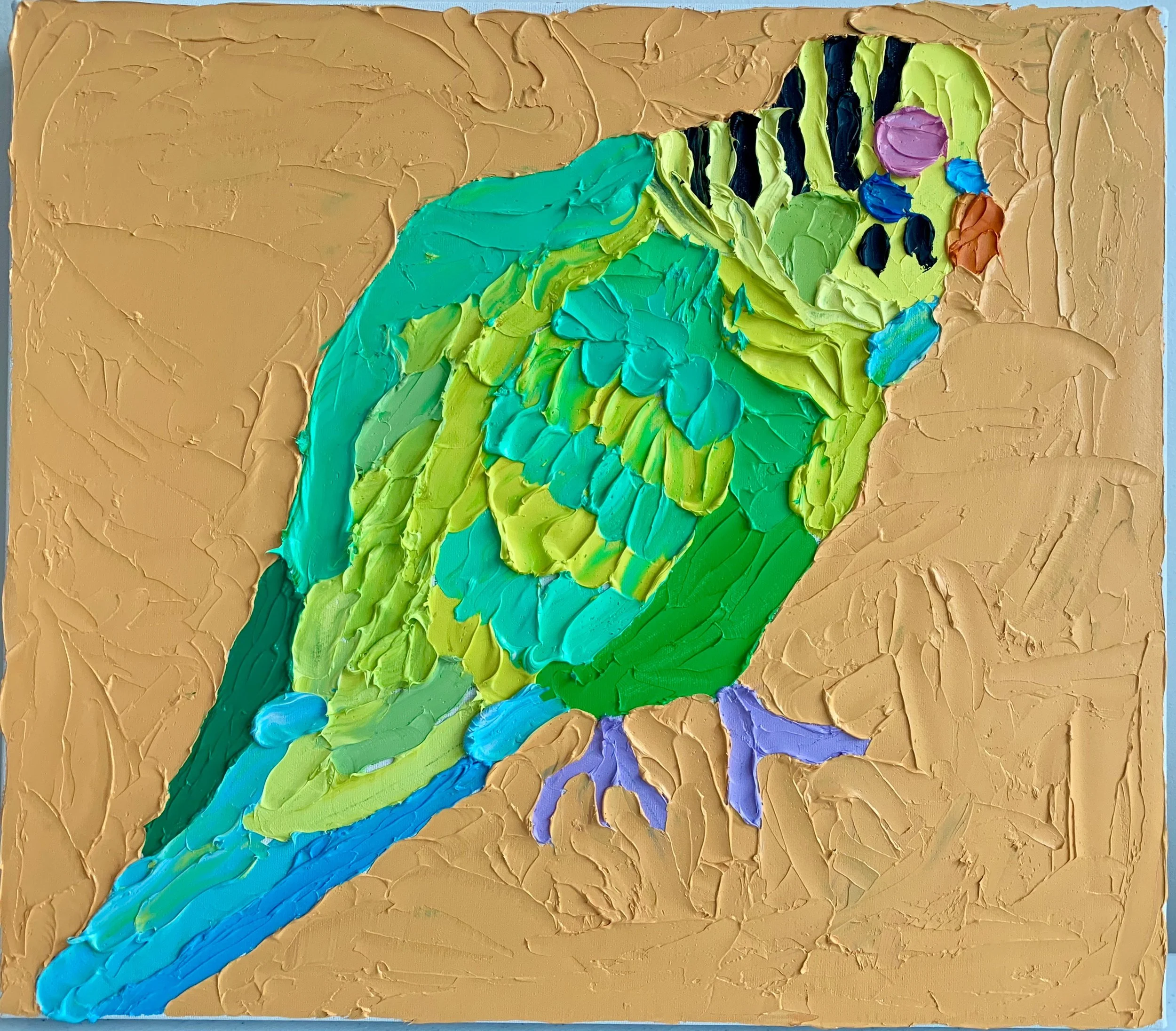 budgerigar I