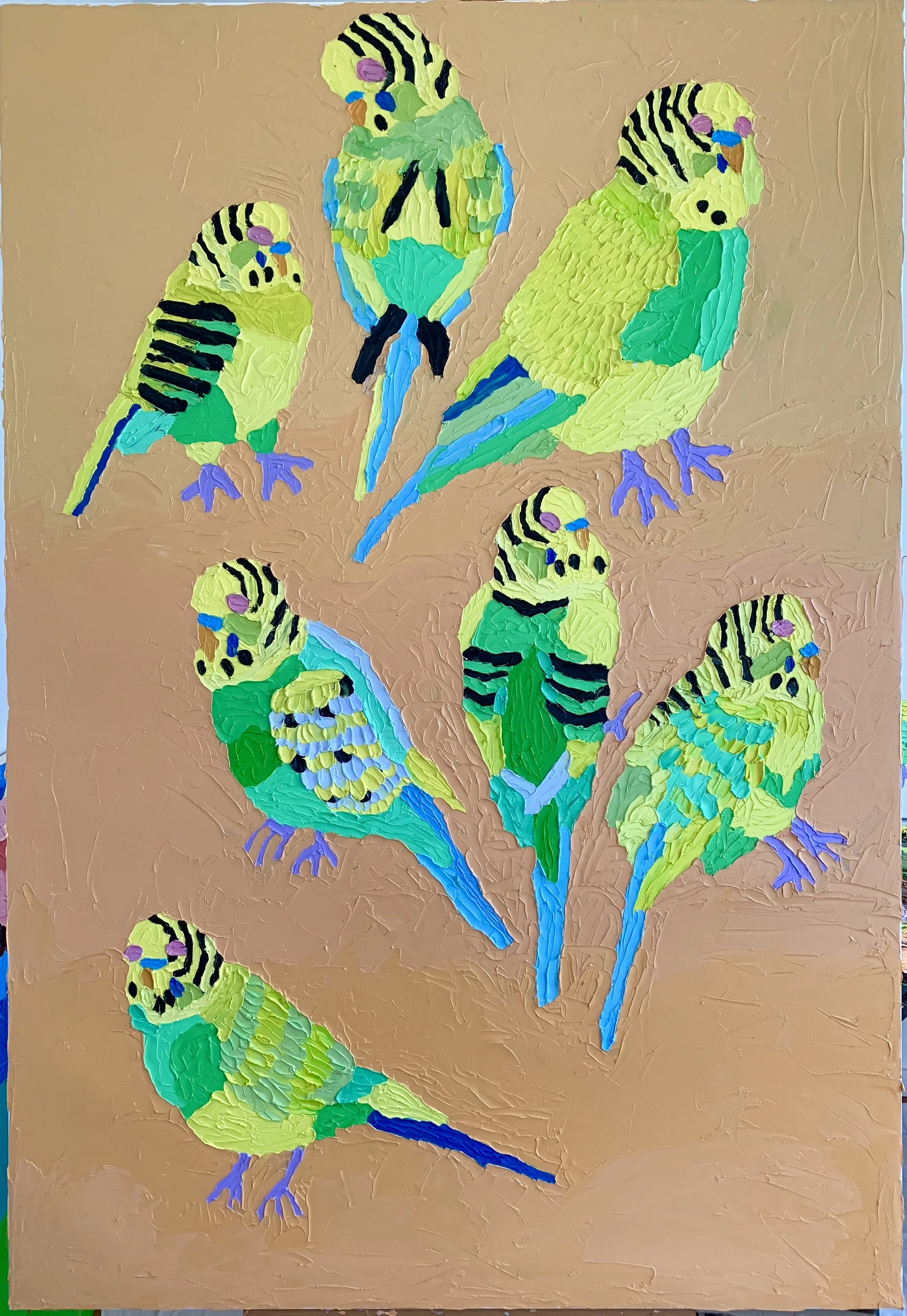 flock of Australian budgerigars
