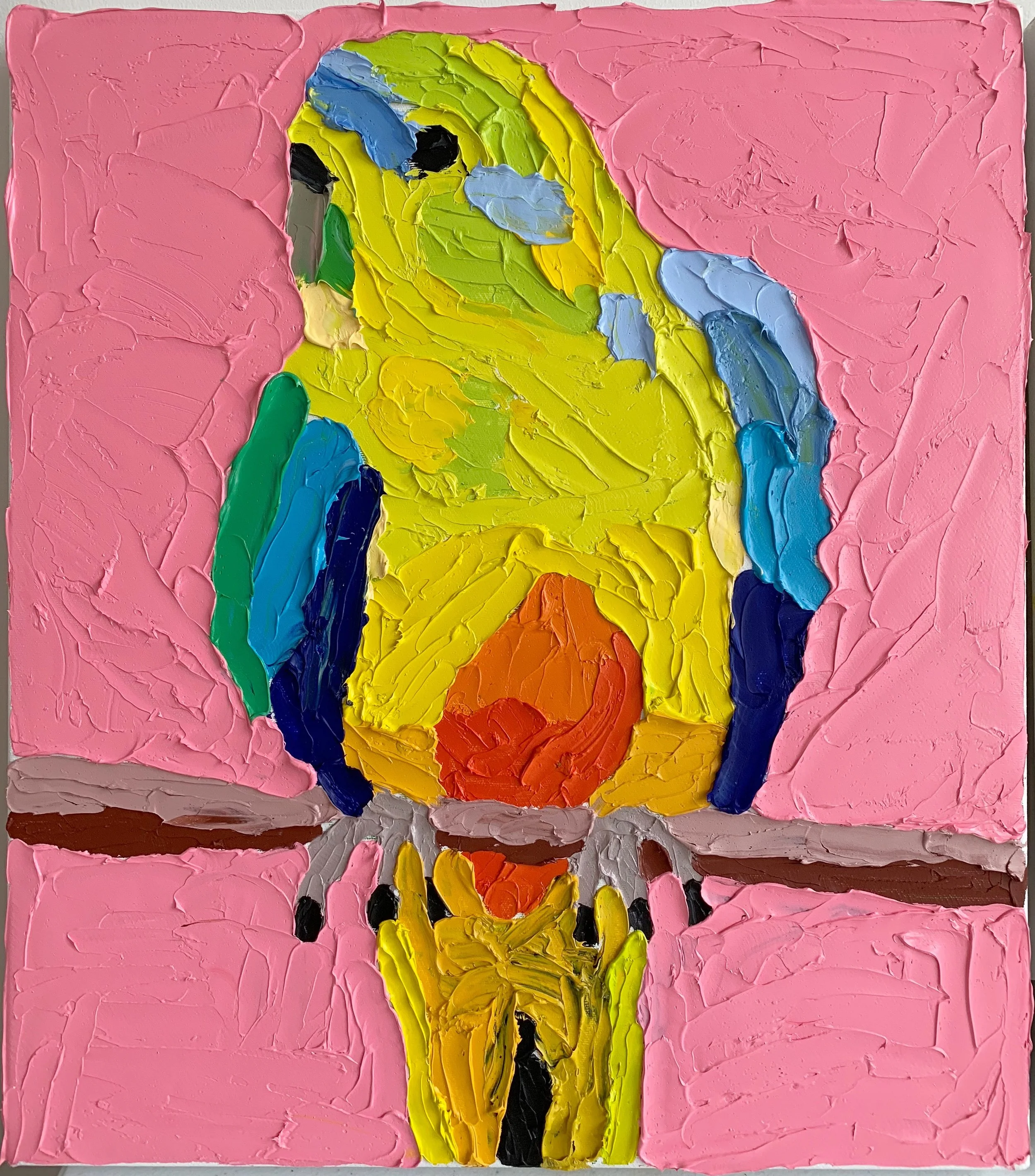 orange bellied parrot V