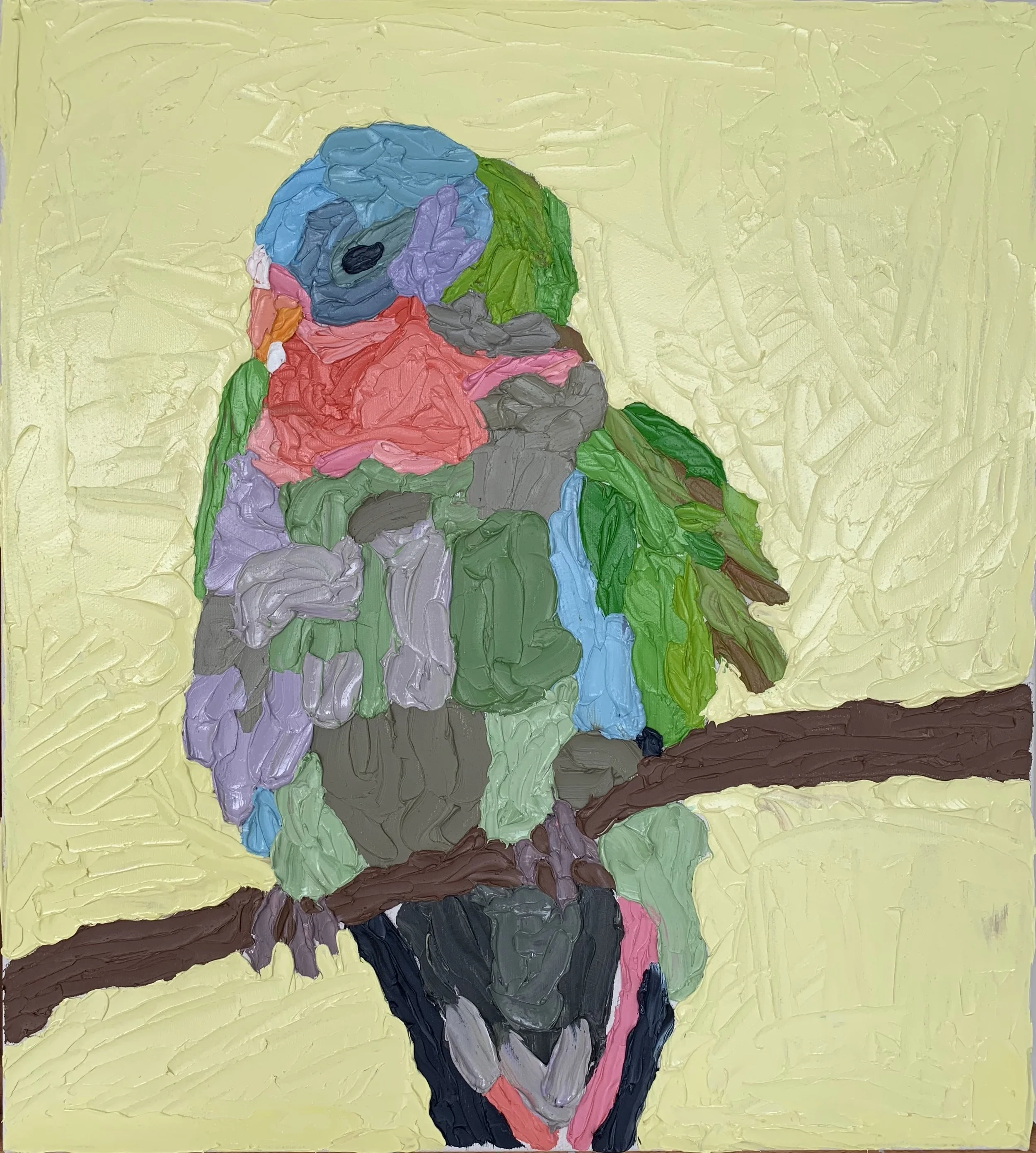 princess parrot