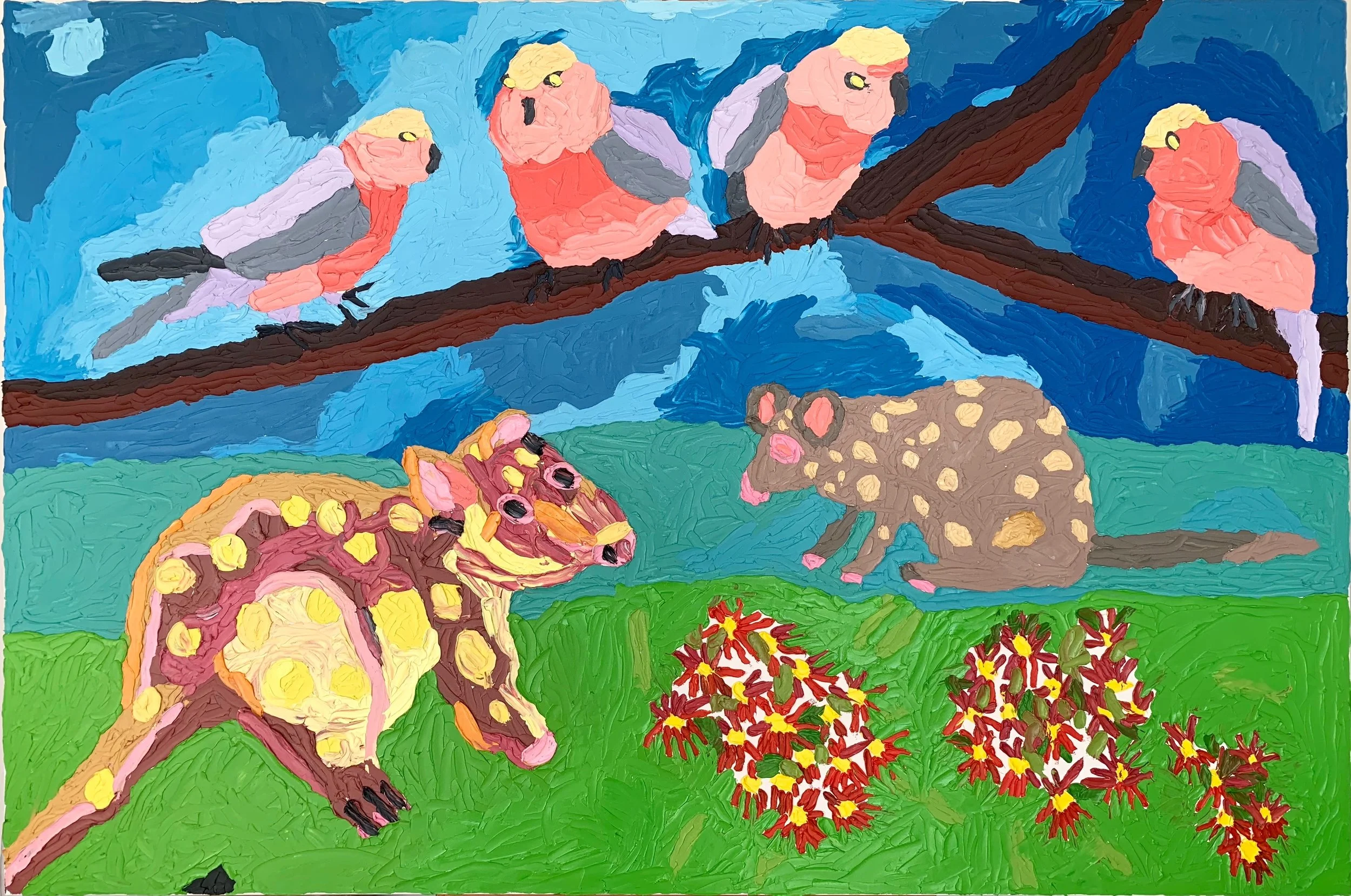 pink galahs and spotted quolls