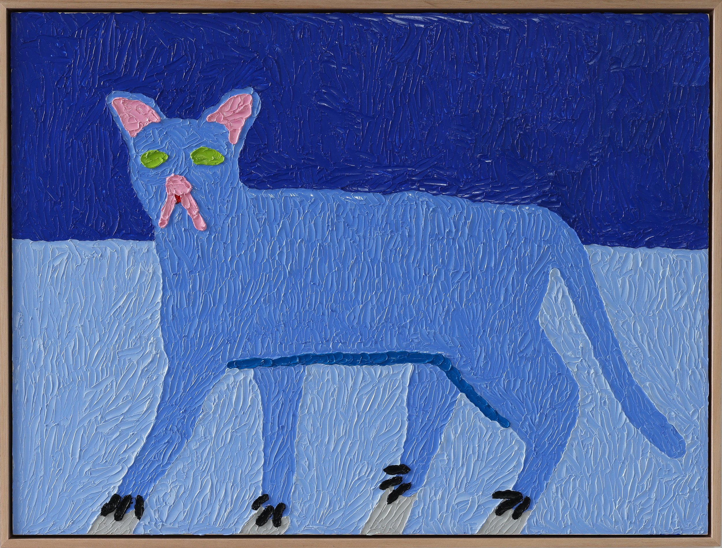 cat hunting at night