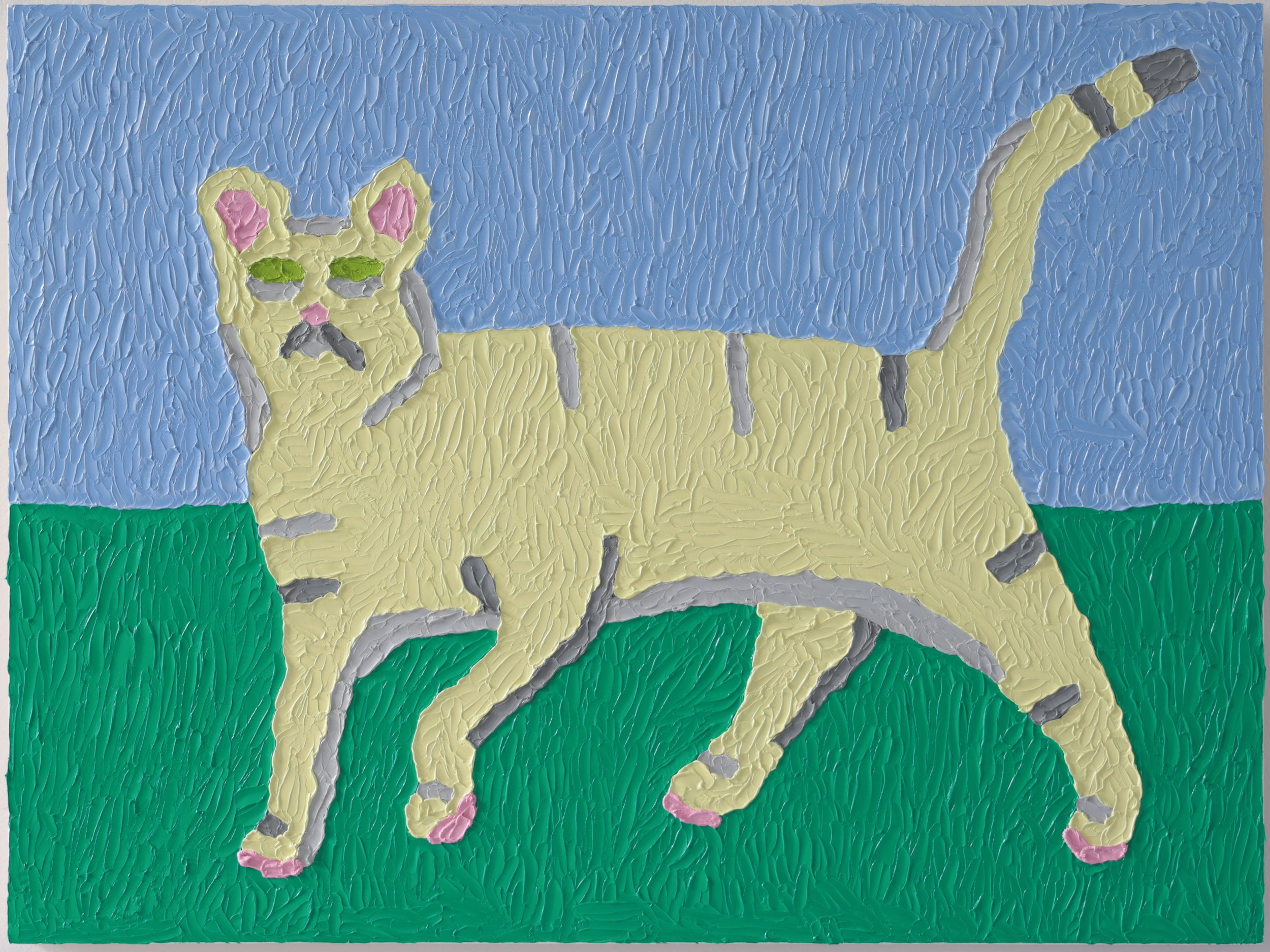 yellow tabby