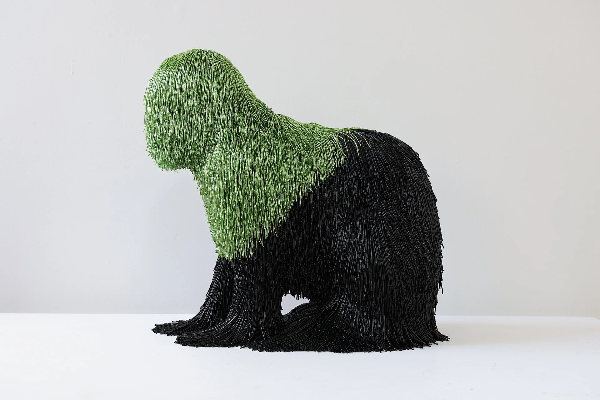 Nature study in green and black