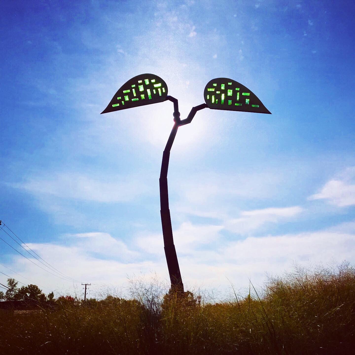 The Seed