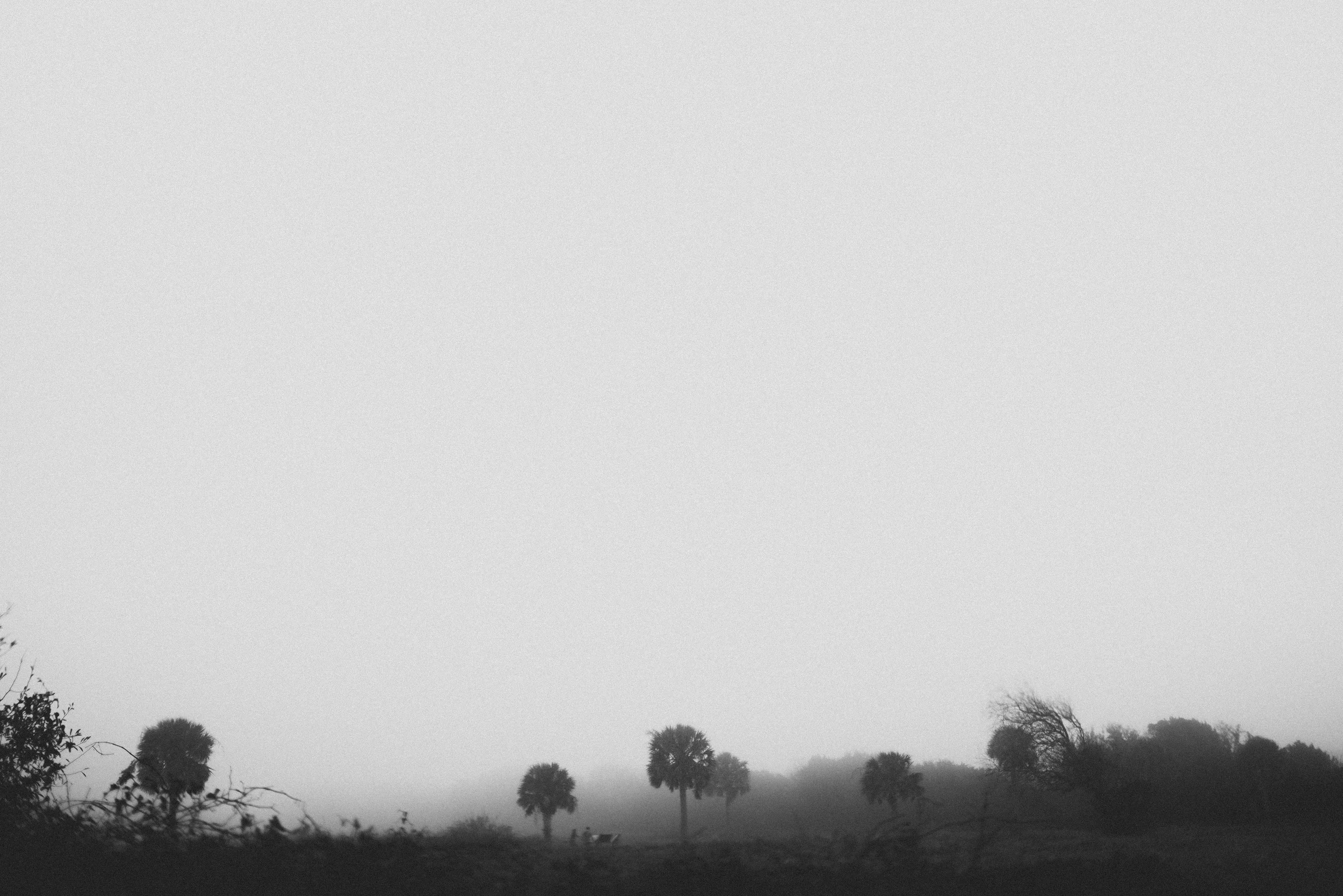 DSC_0755.jpg