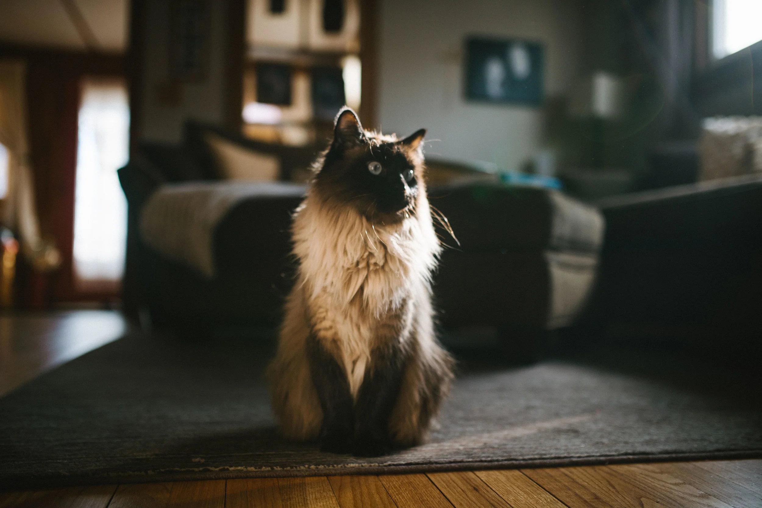 DSC_4362.jpg