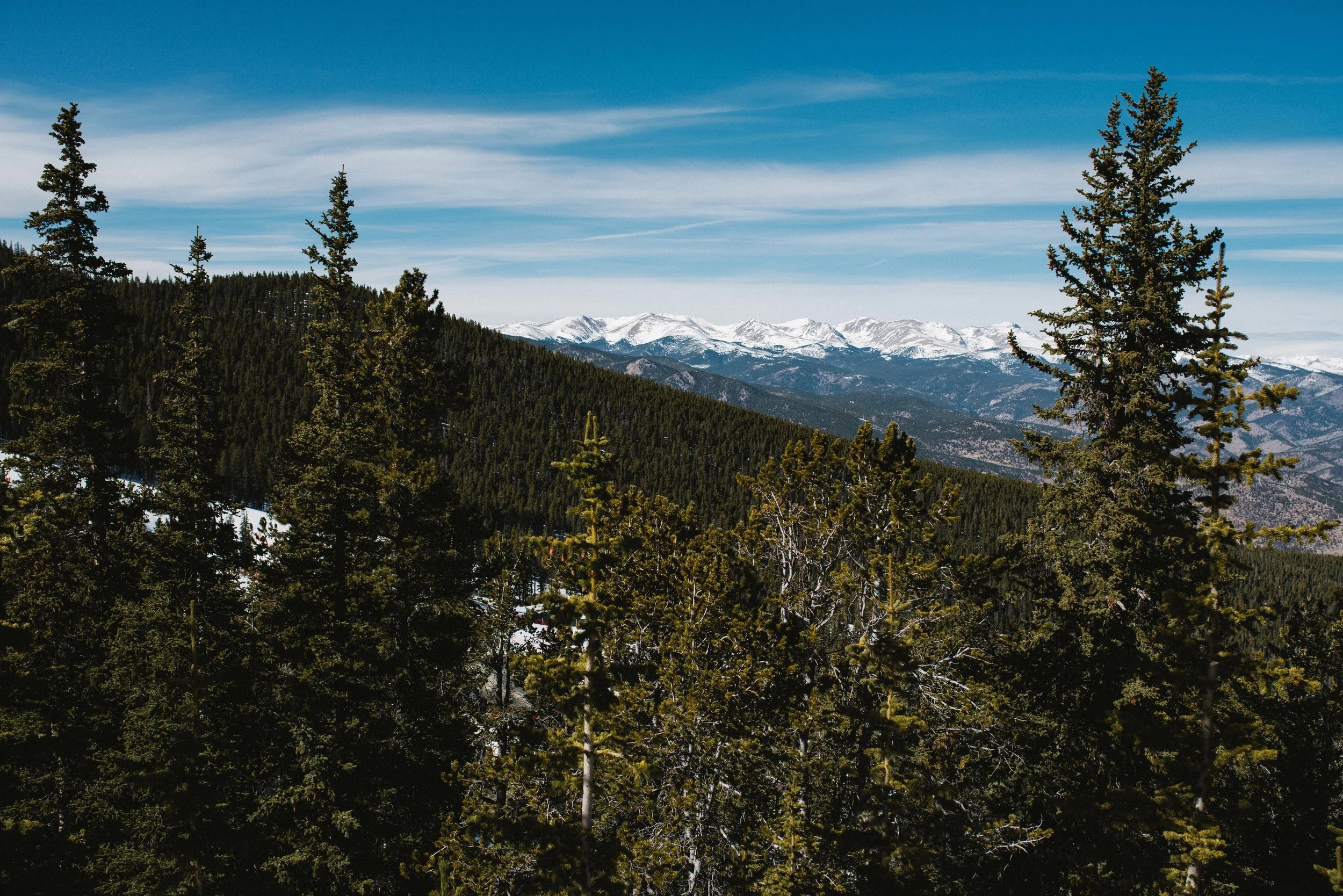 DSC_9864.jpg