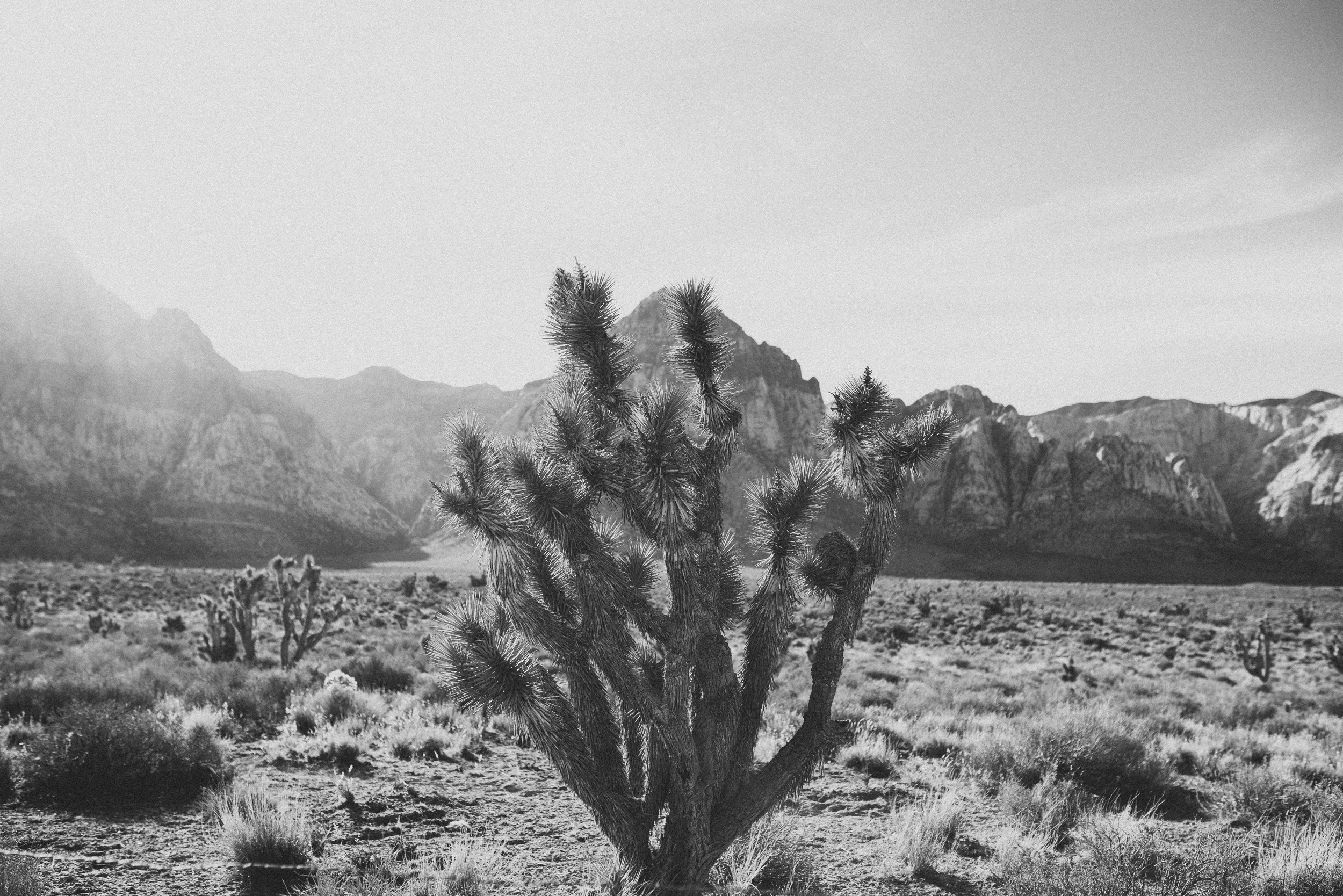 DSC_0422.jpg