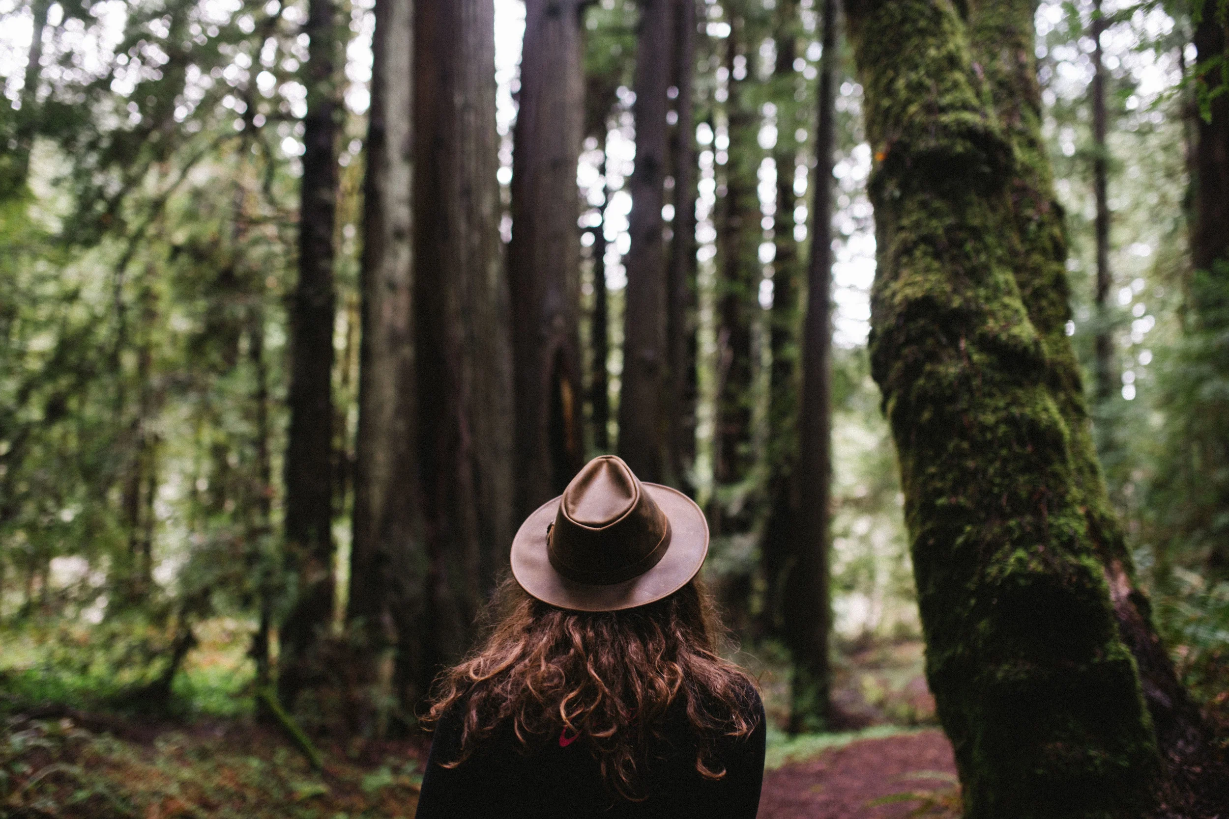 meadow-29.jpg