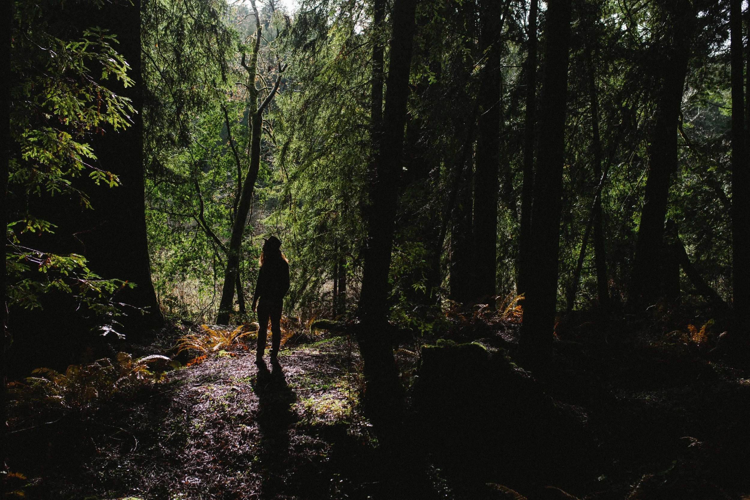 meadow-33.jpg