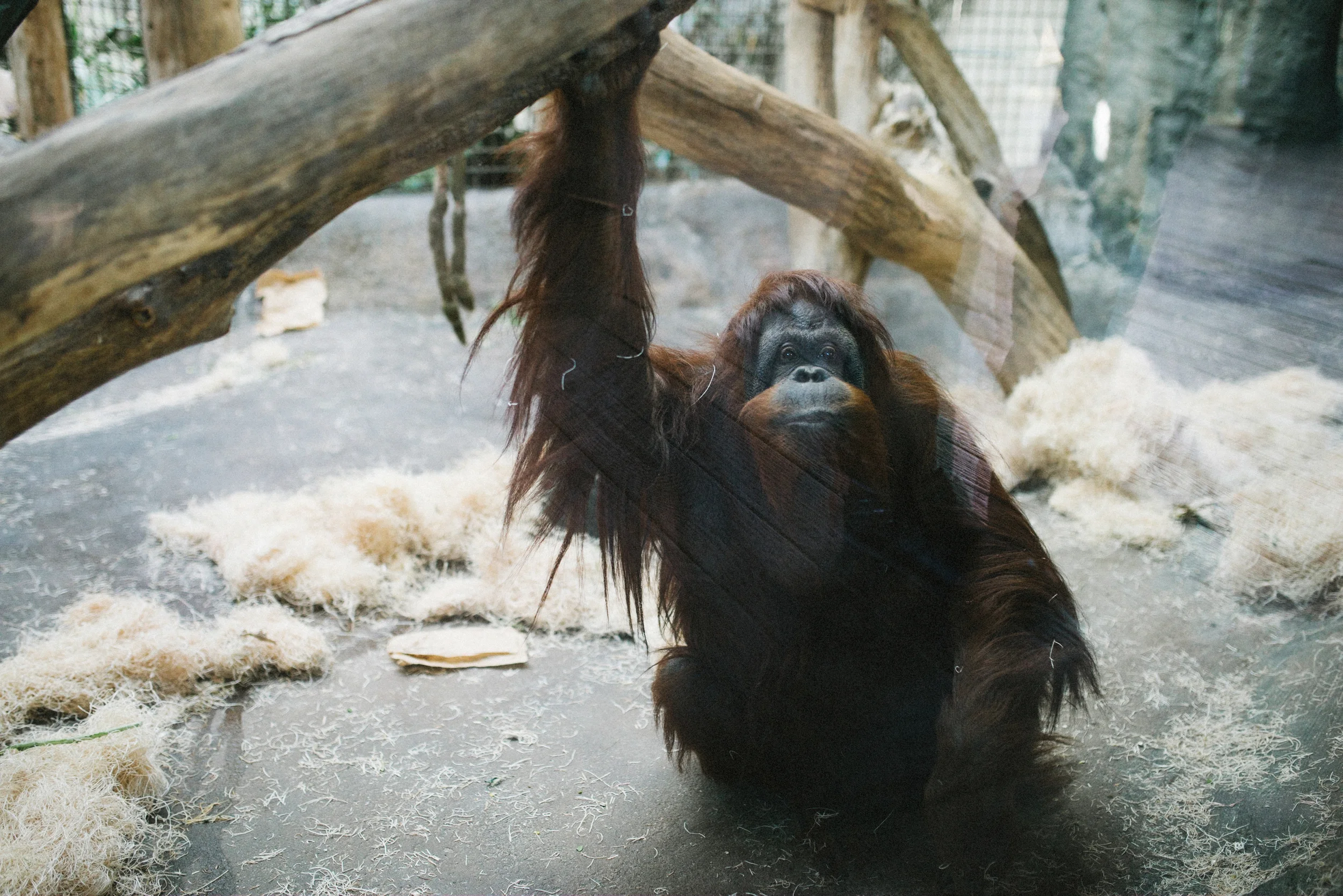 DSC_6574-Exposure.jpg