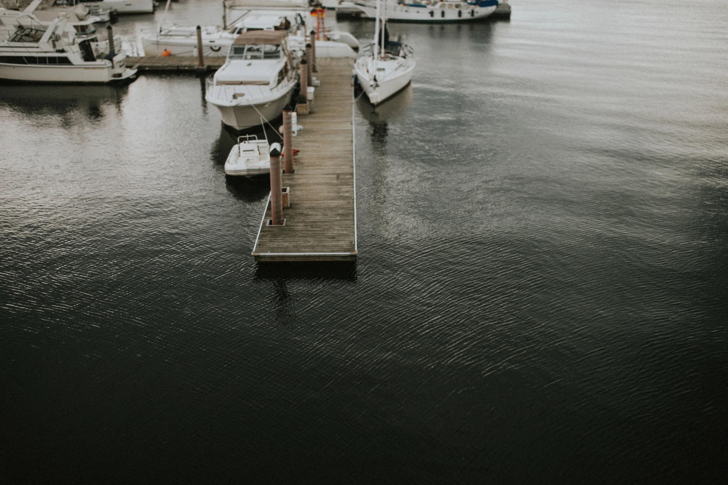 maine-6.jpg