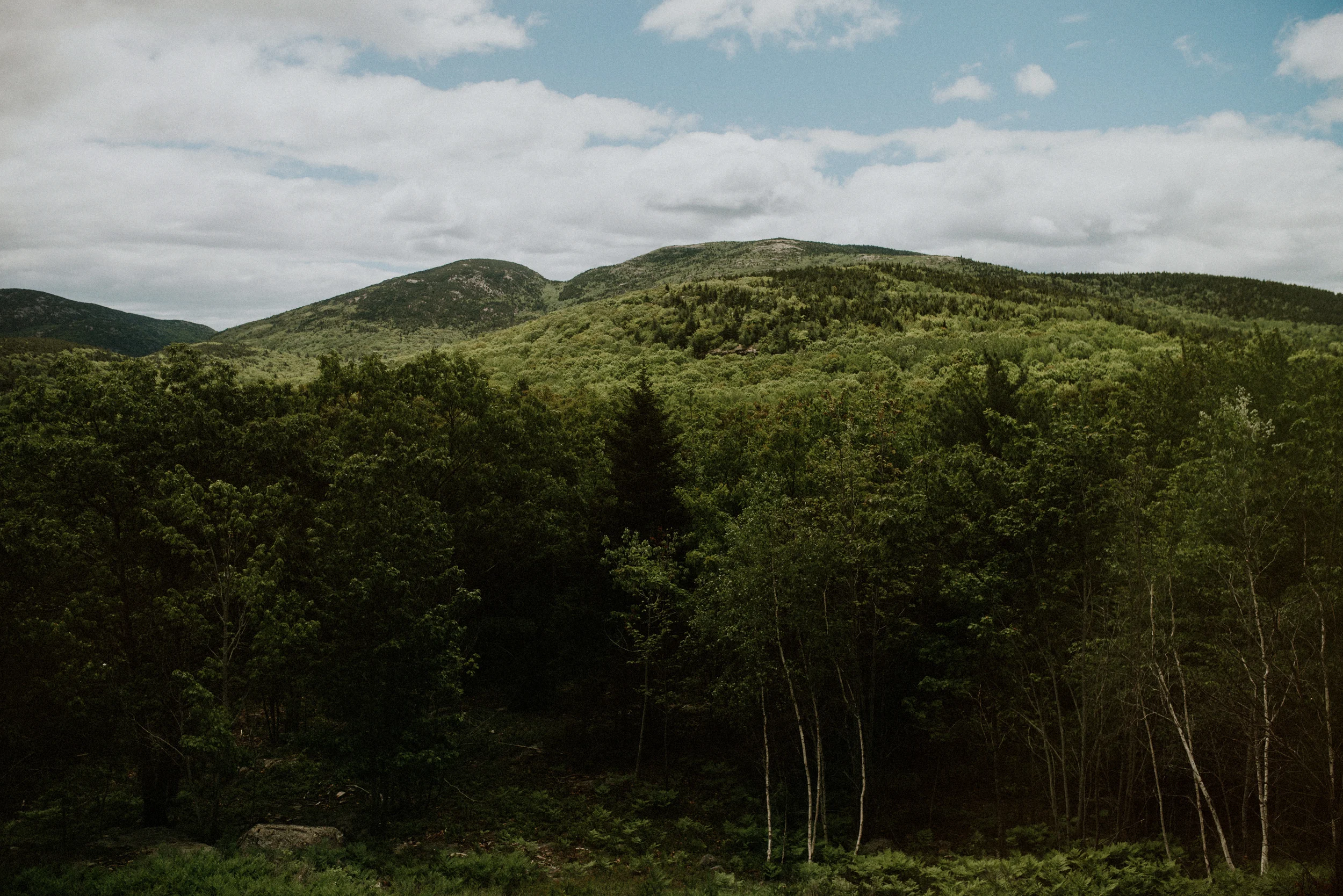 maine-87.jpg