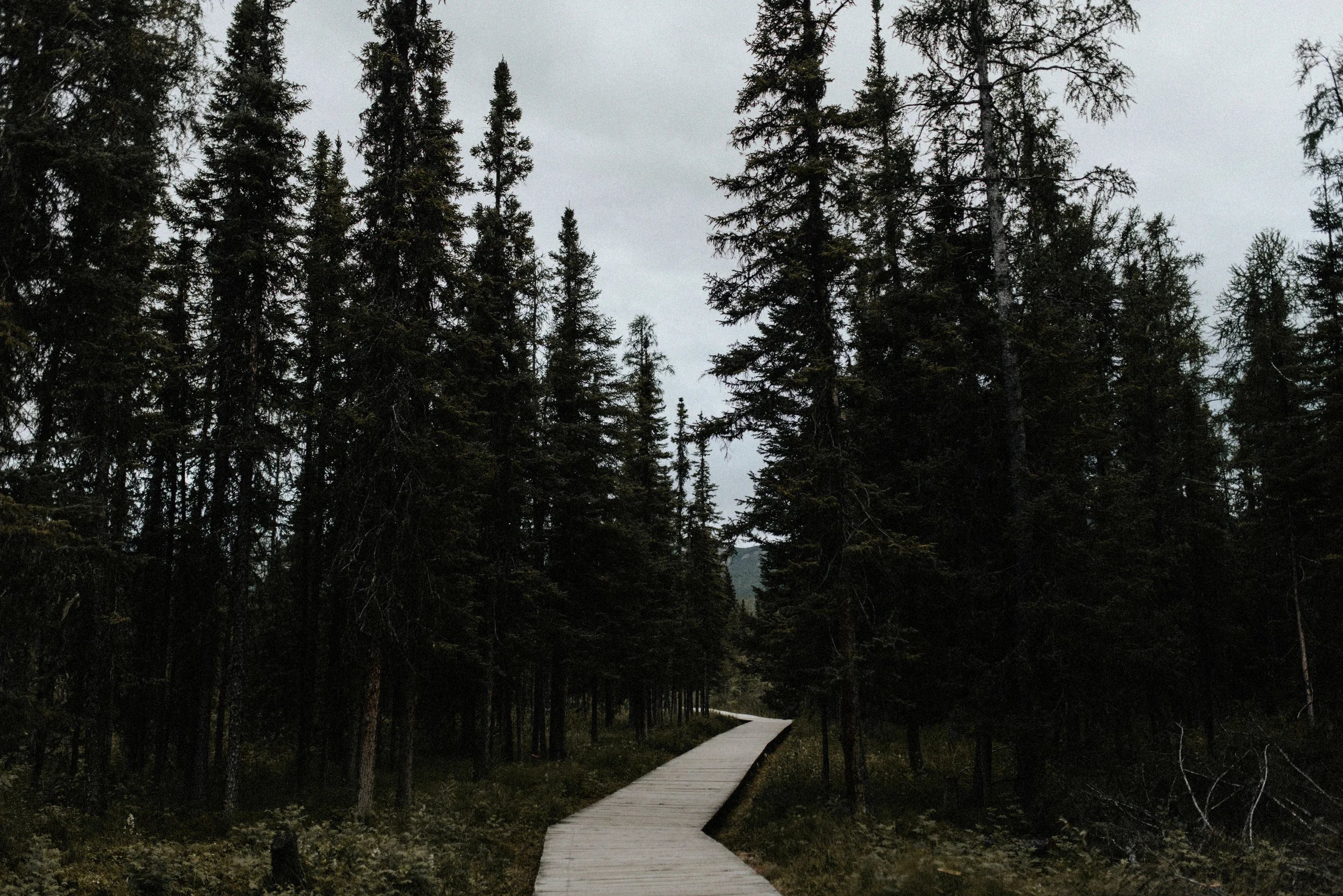 alaska-147.jpg