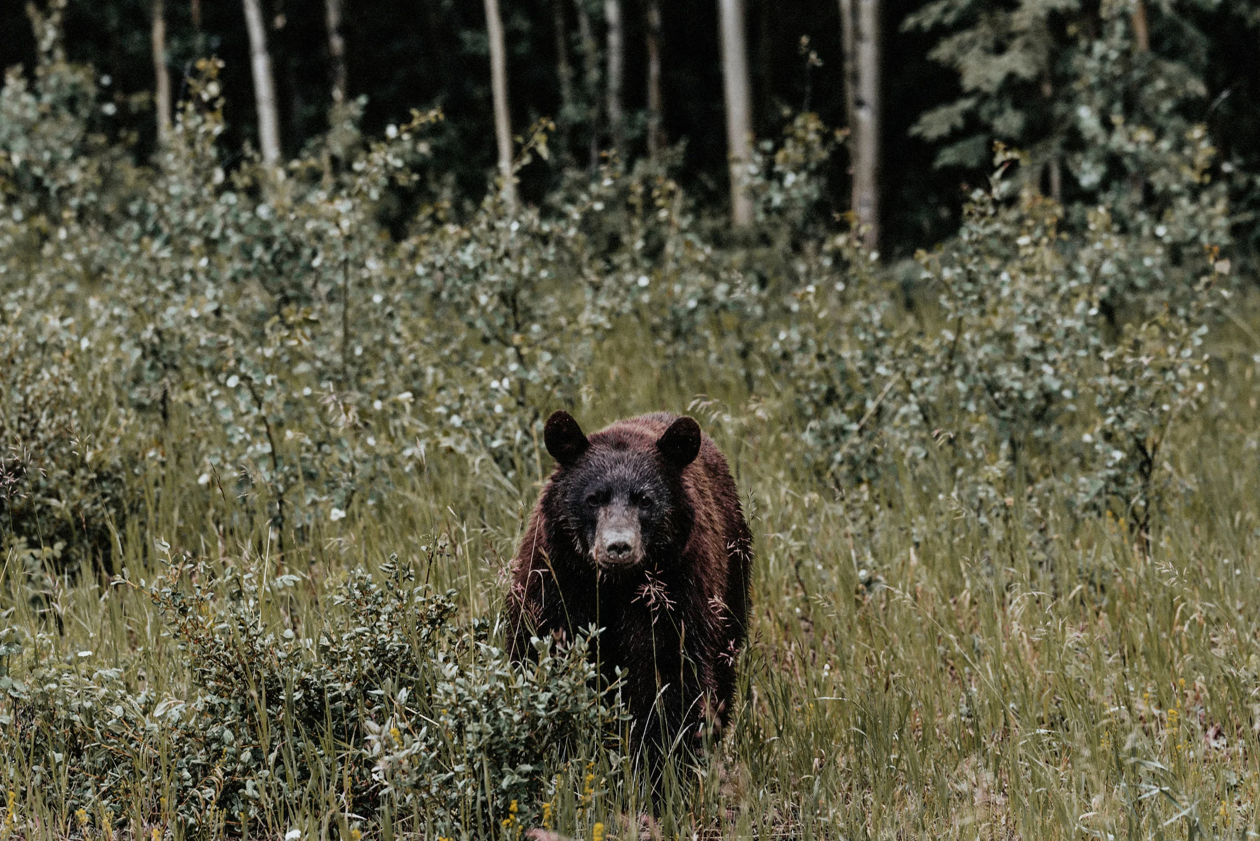 alaska-384.jpg