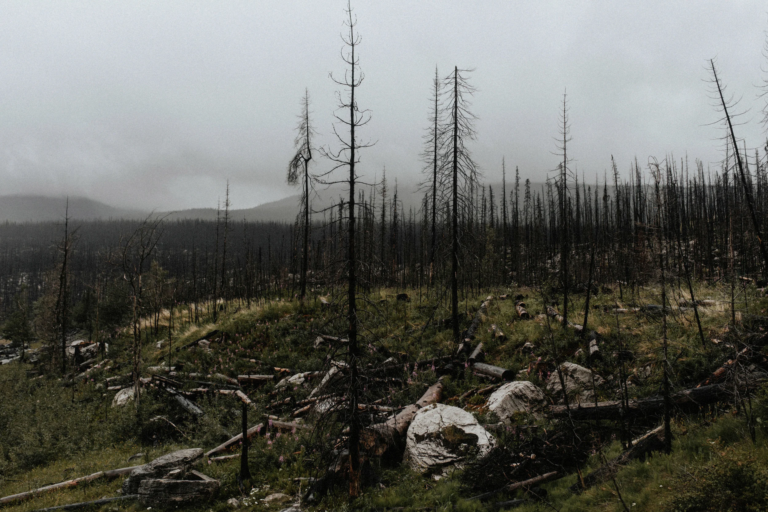 alaska-428.jpg