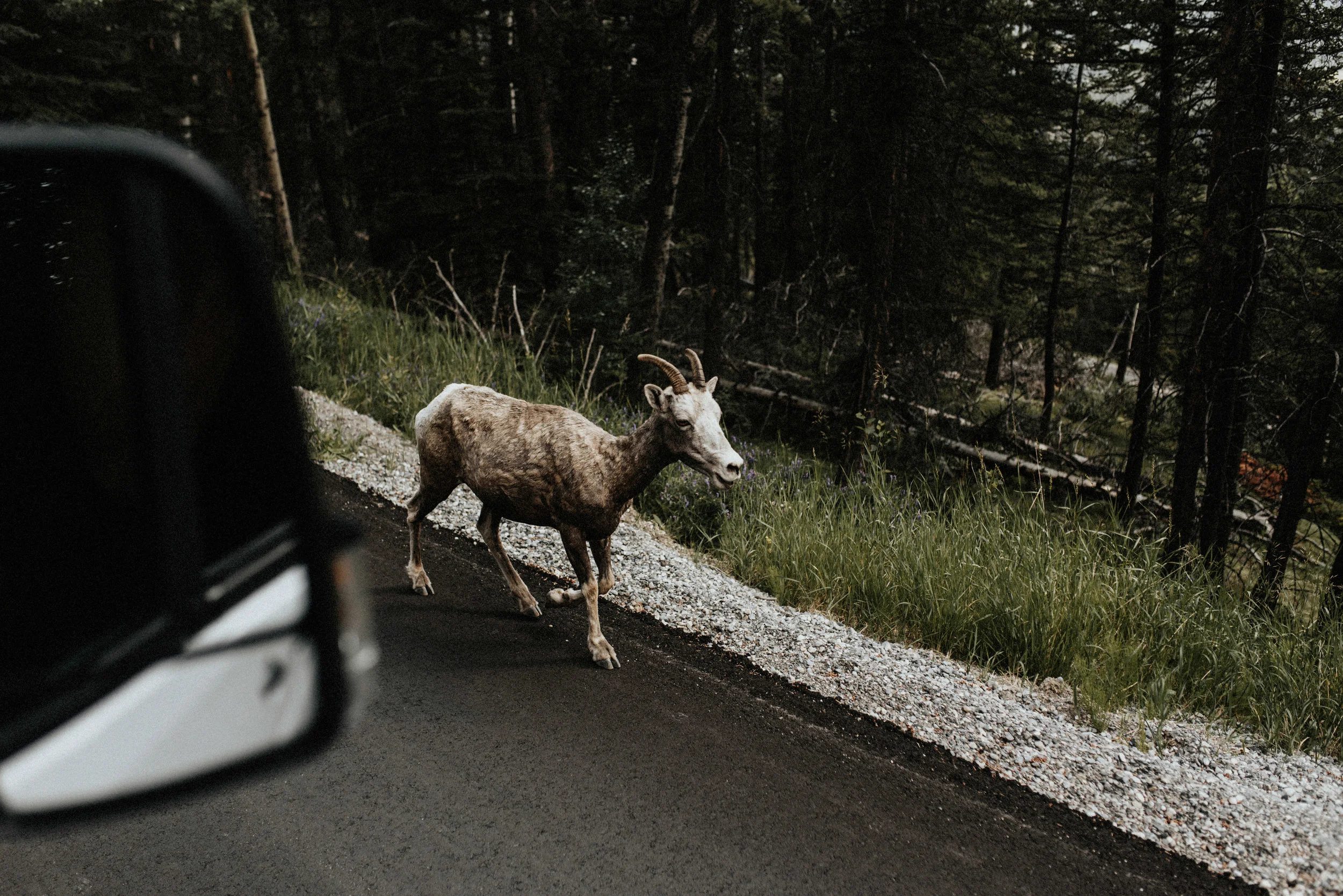 alaska-640.jpg