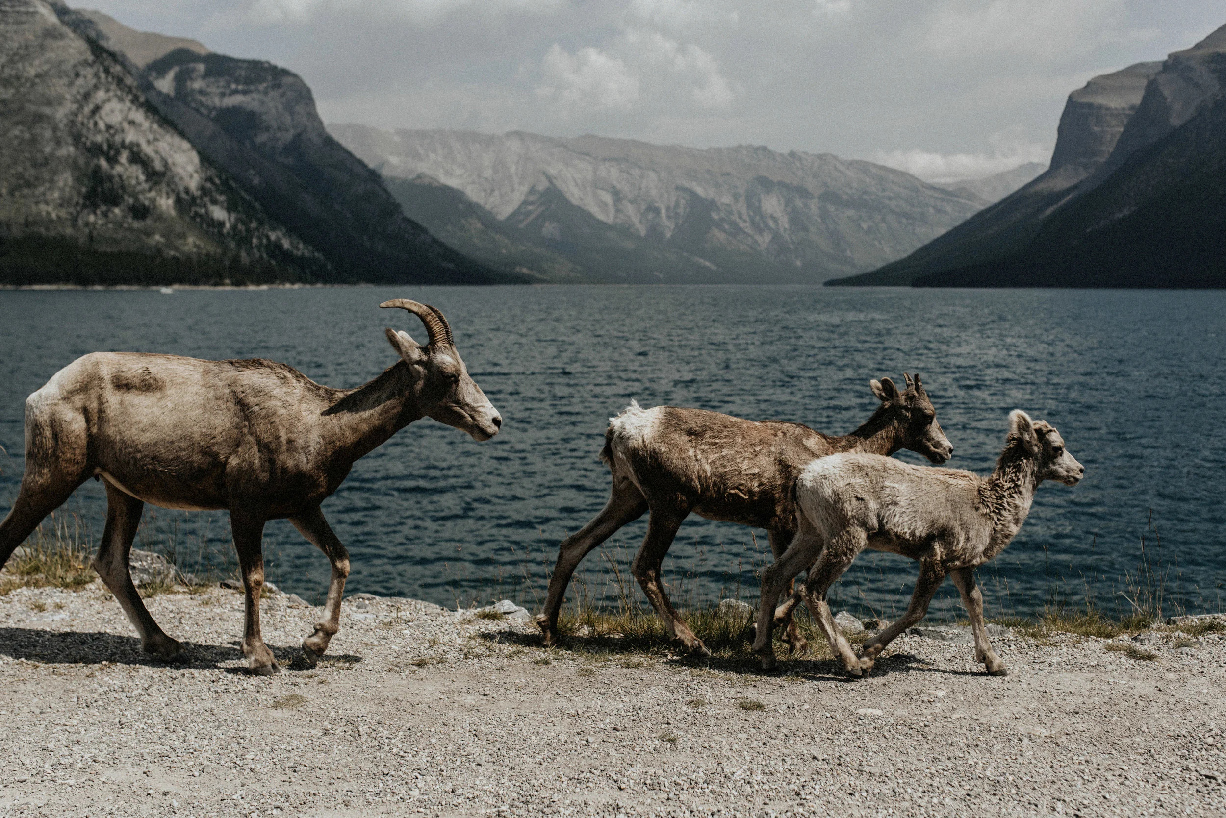 alaska-648.jpg
