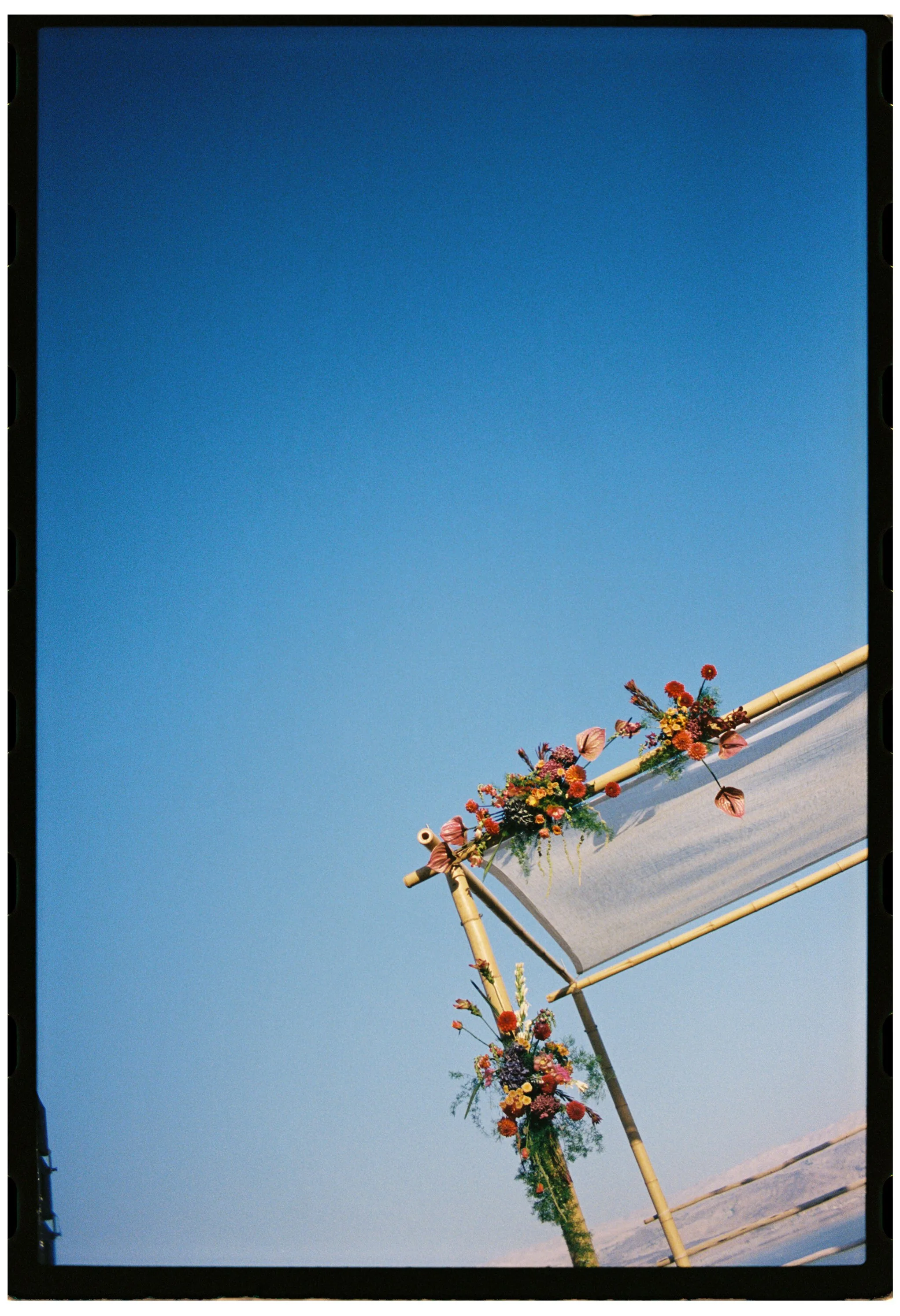  Nashville Wedding Photographer  Jewish Wedding Photographer  Orthodox Jewish Wedding  Glamping 420 Wedding  Dead Sea Wedding  Detroit Wedding Photographer  Detroit Wedding  Savannah Wedding Photographer  Documentary Wedding Photographer  Nashville F