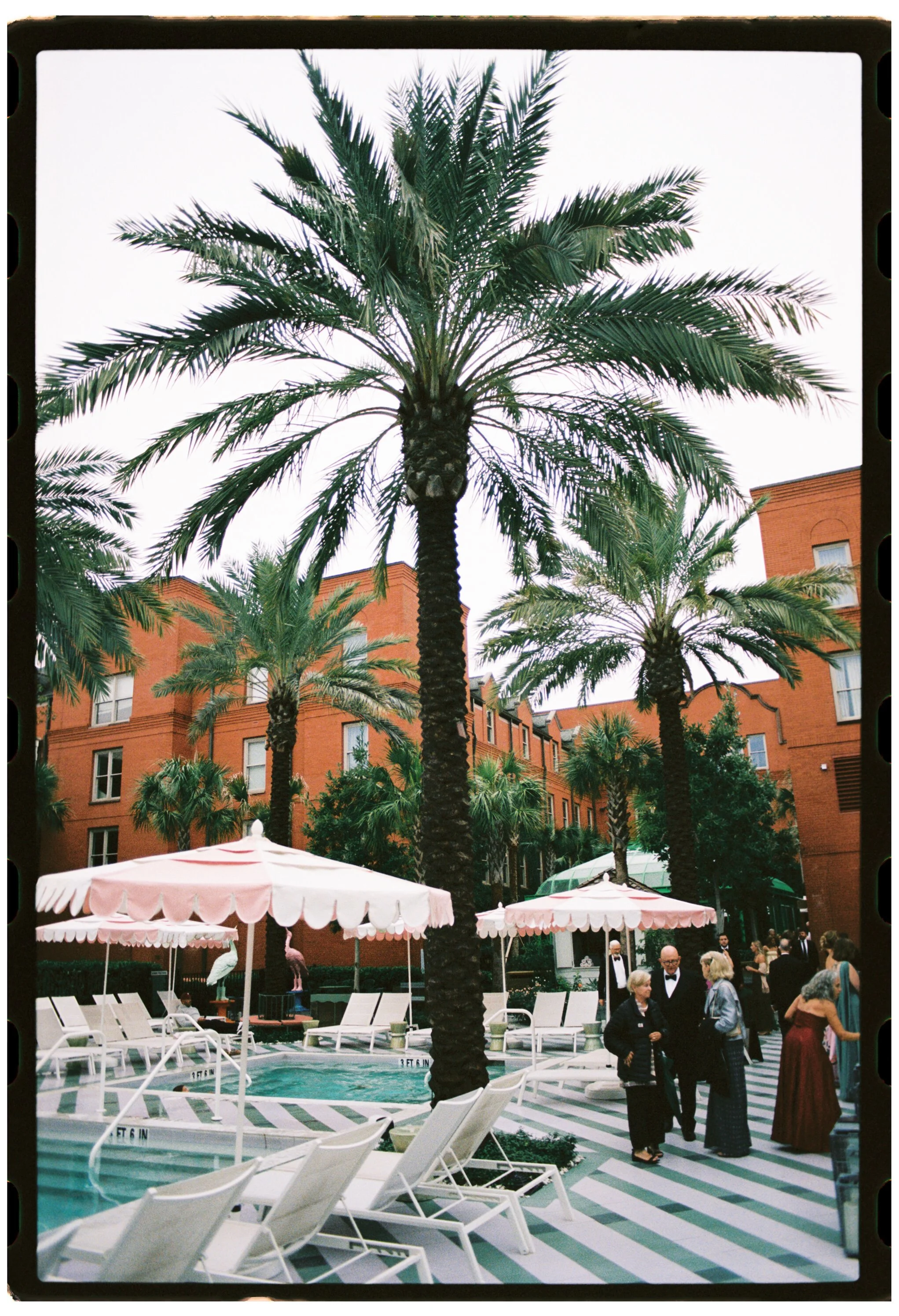  Nashville Wedding Photographer  Jewish Wedding Photographer  Orthodox Jewish Wedding  Glamping 420 Wedding  Dead Sea Wedding  Detroit Wedding Photographer  Detroit Wedding  Savannah Wedding Photographer  Savannah Wedding  Savannah Film Photographer 