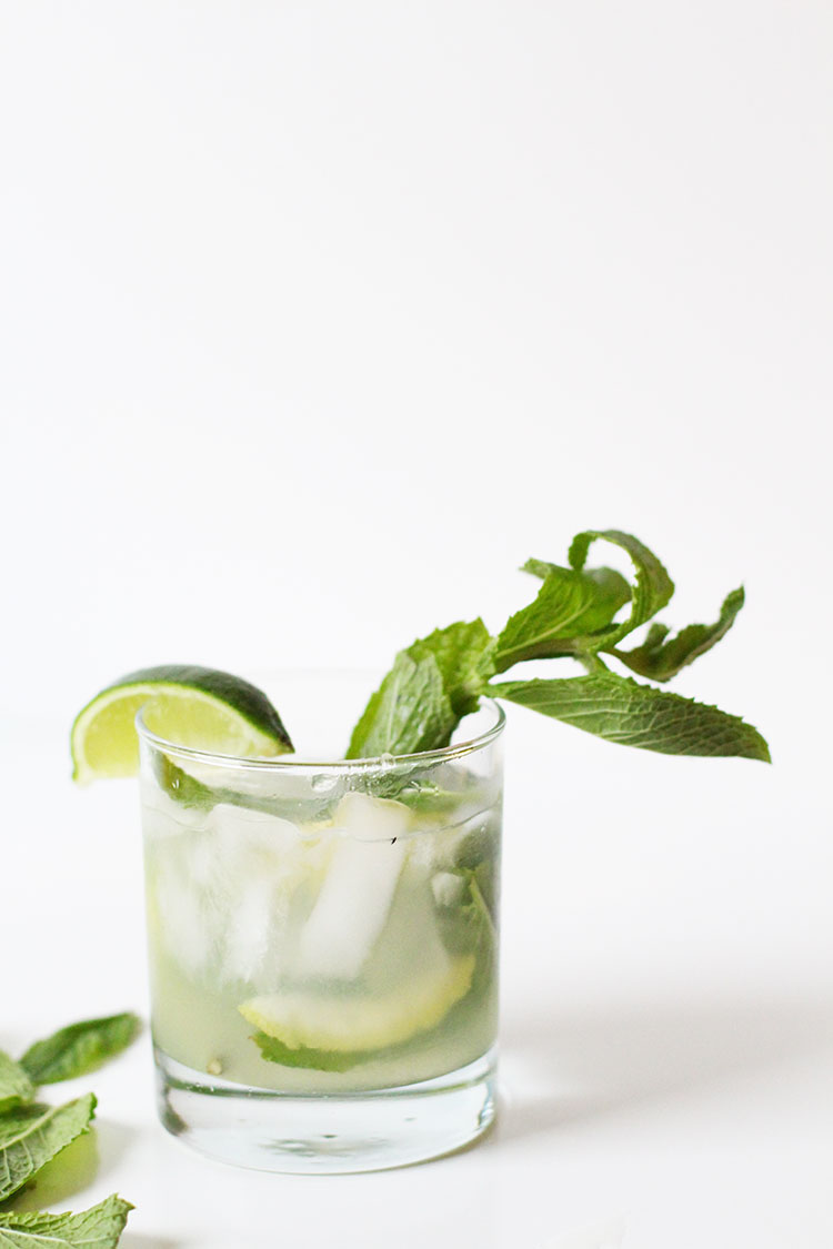 Mint Julep Recipe