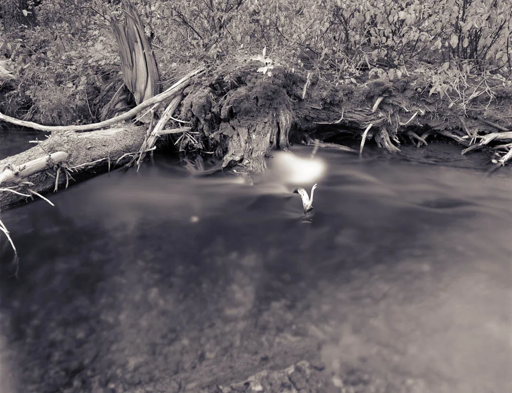 Teton Creek, Alta, Wyoming, 2003