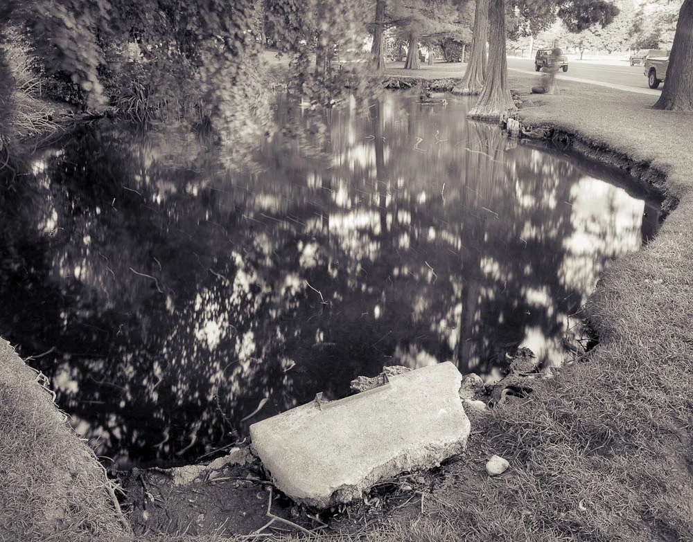 BYU Botany Pond, BYU, Provo, Utah, 2006