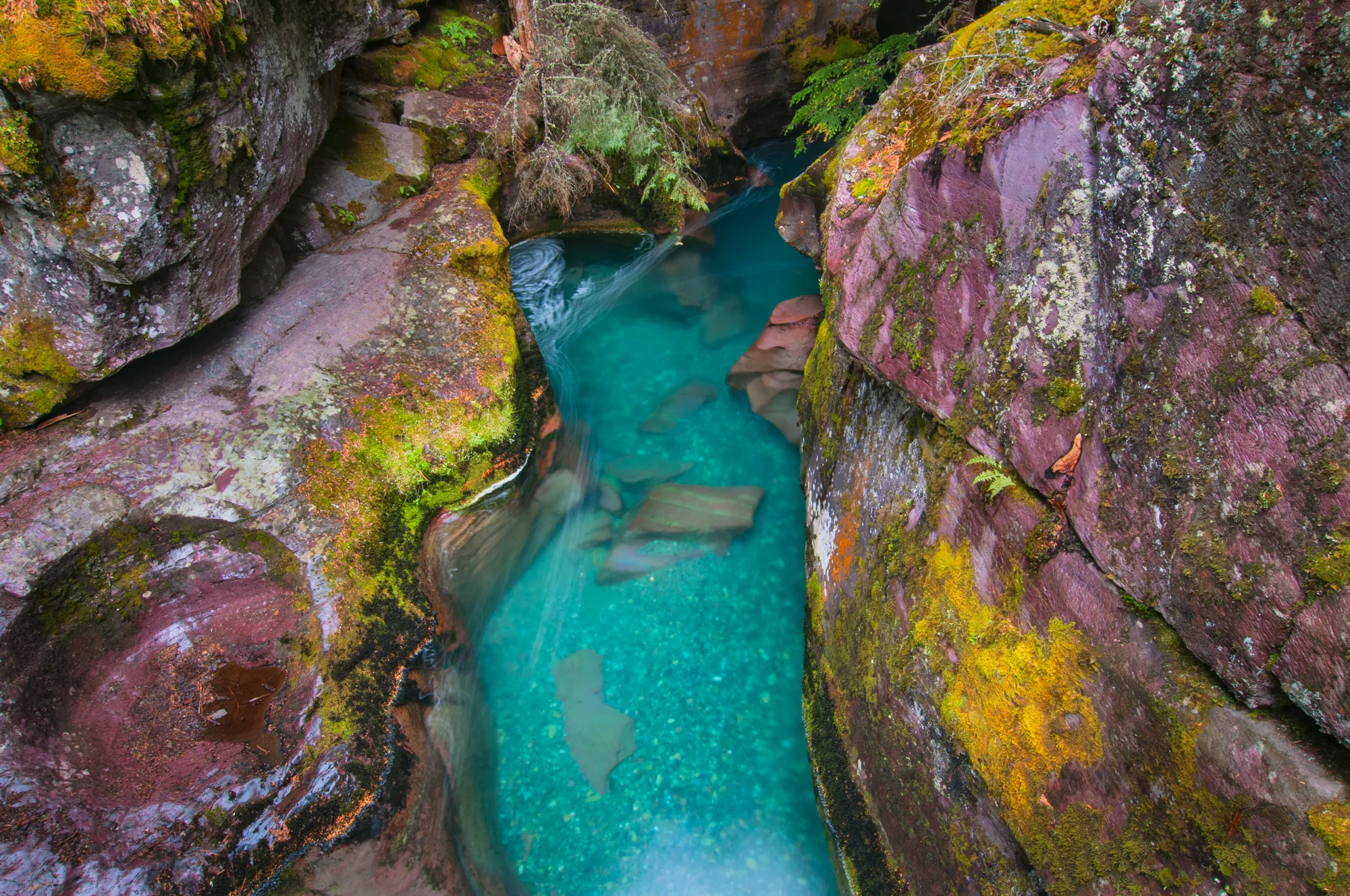 Avalanche Gorge, Glacier National Park, July 2015