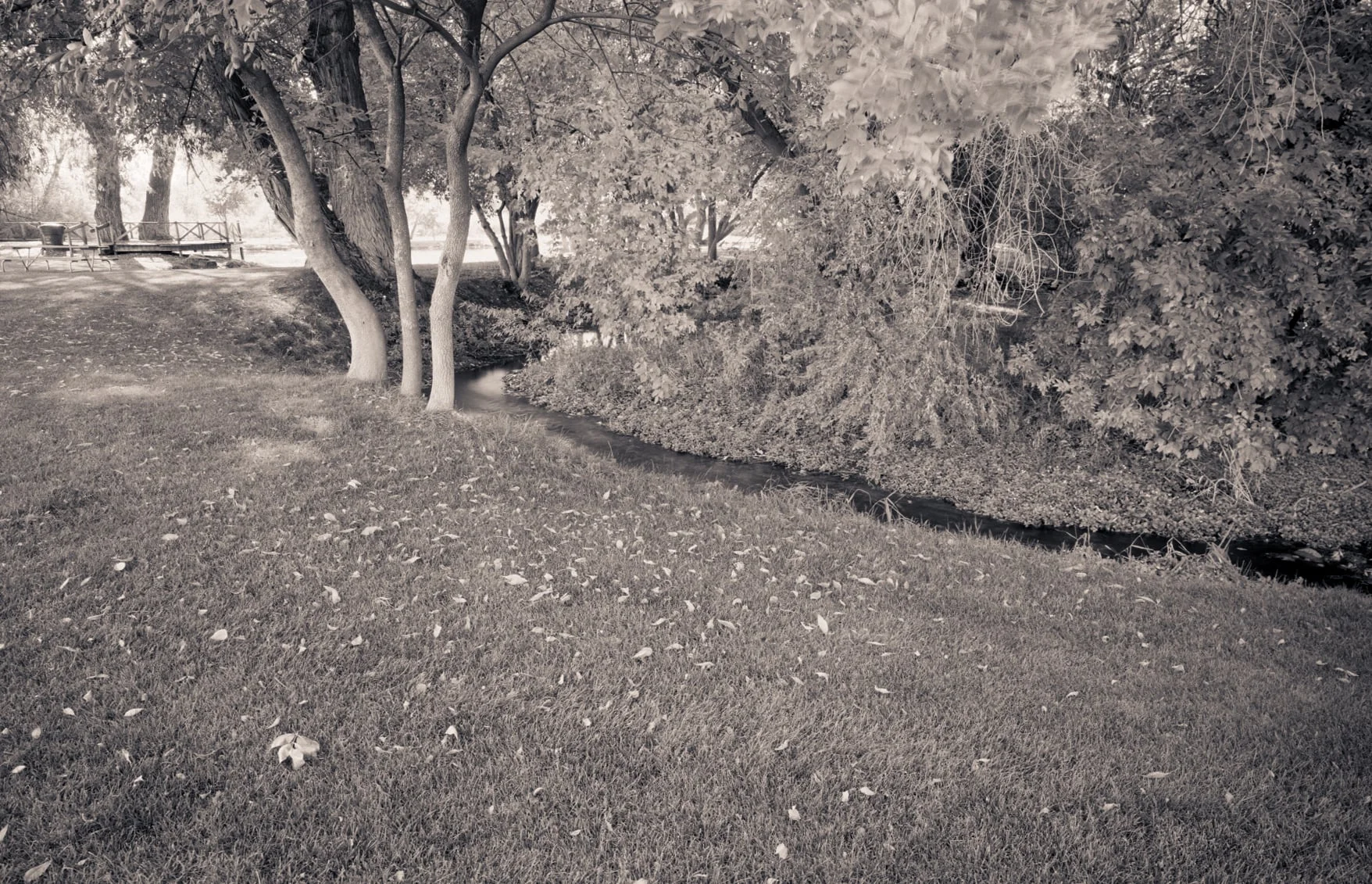 Little Logan River, Willow Park, Logan, Utah, 2004