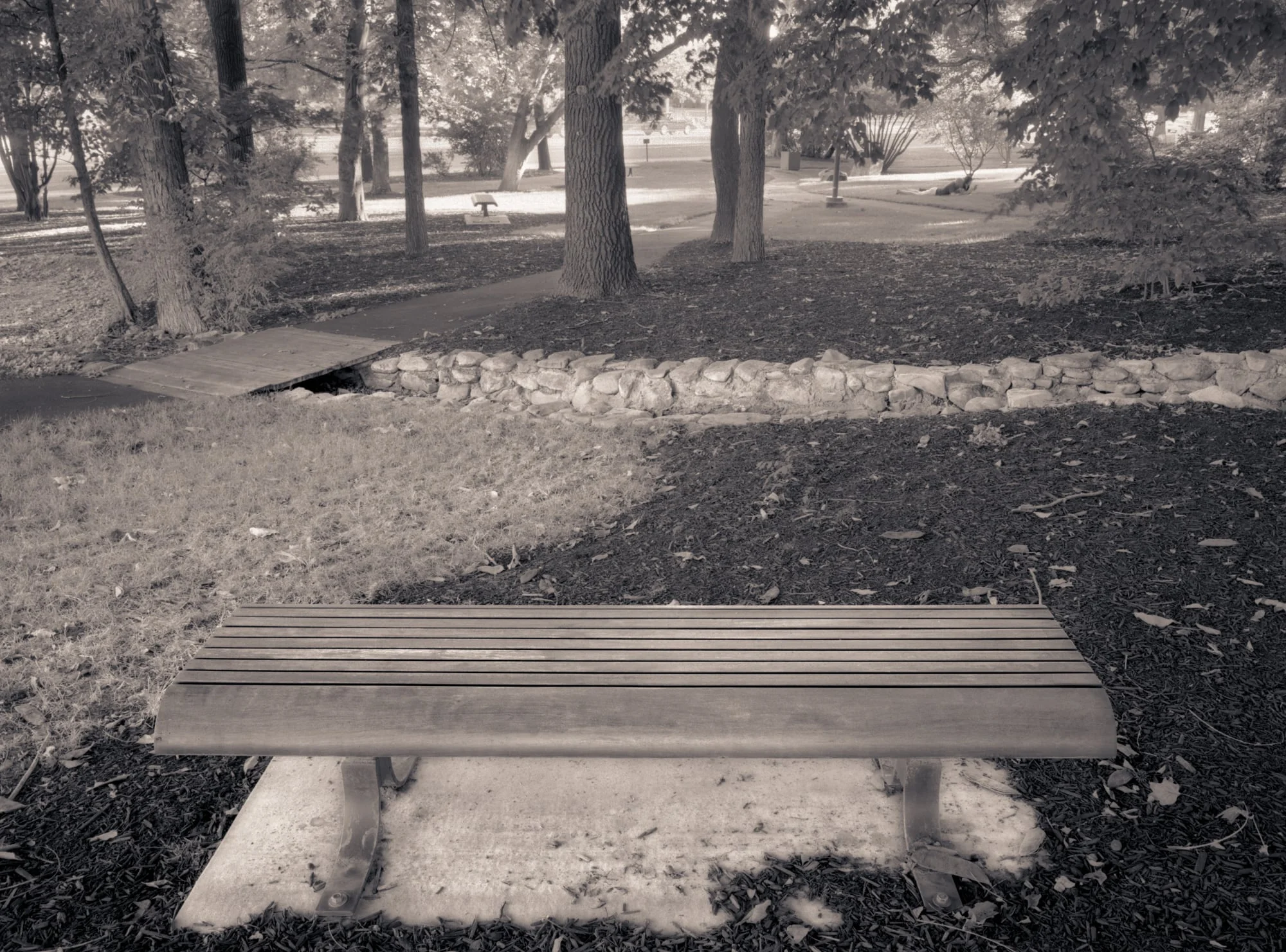 Bench, BYU Campus, Provo, Utah, 2006