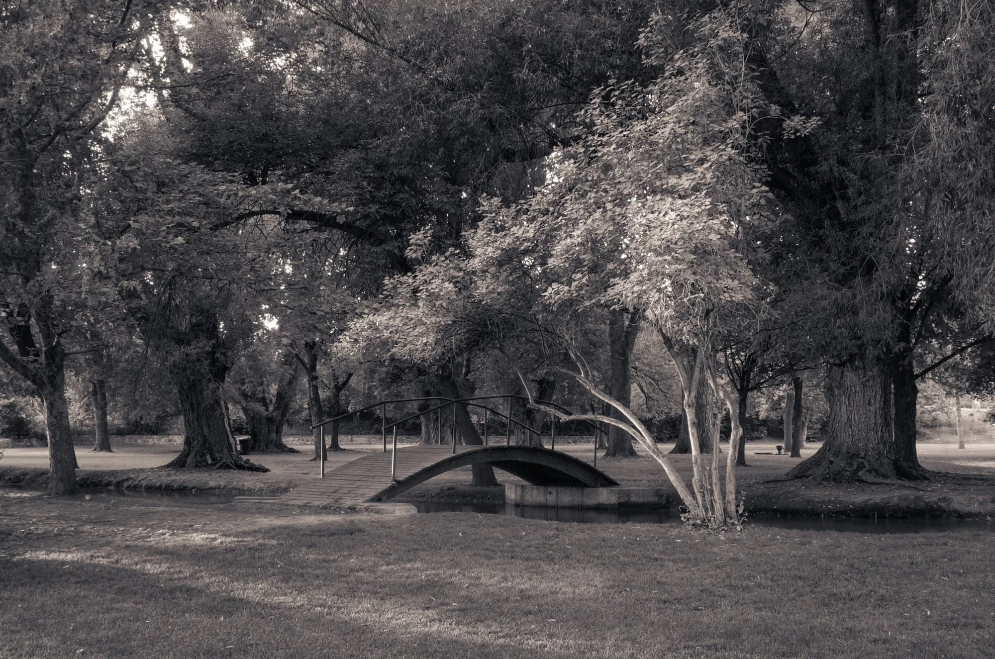 Foot Bridge Over the Little Logan River, Merlin Olsen Central Park, Logan, Utah, 2008
