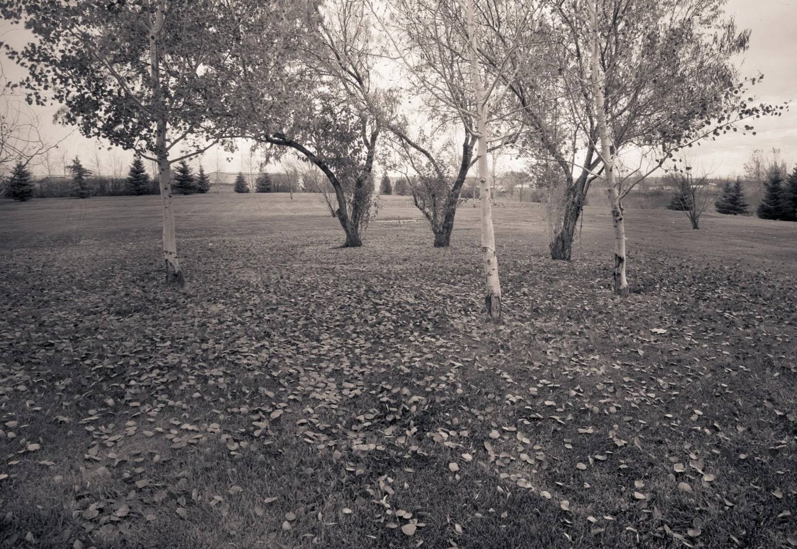 Claire Boyle Park, Rexburg, Idaho, 2004