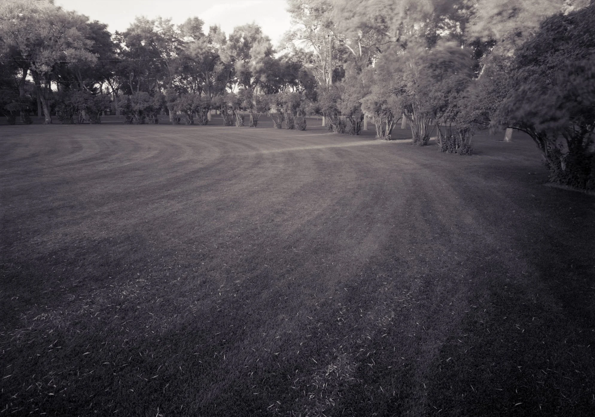 Lilac Circle, Tautphaus Park, Idaho Falls, Idaho, 2004