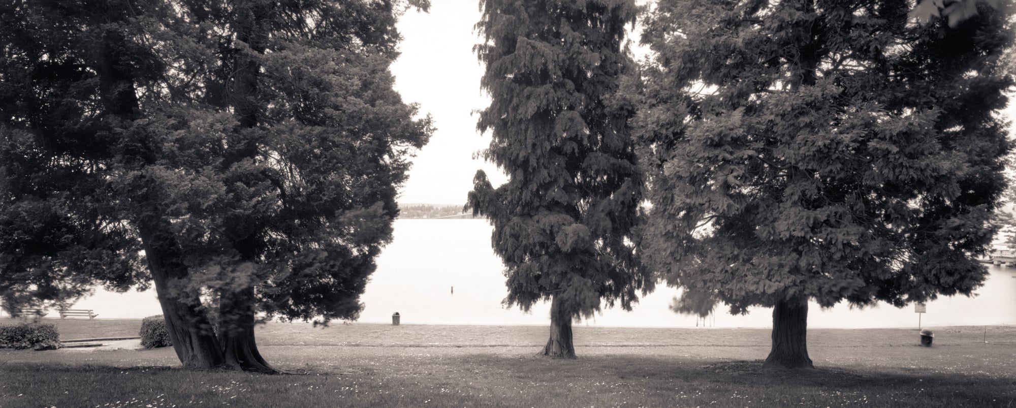 Madison Park, Seattle, Washington, 2005