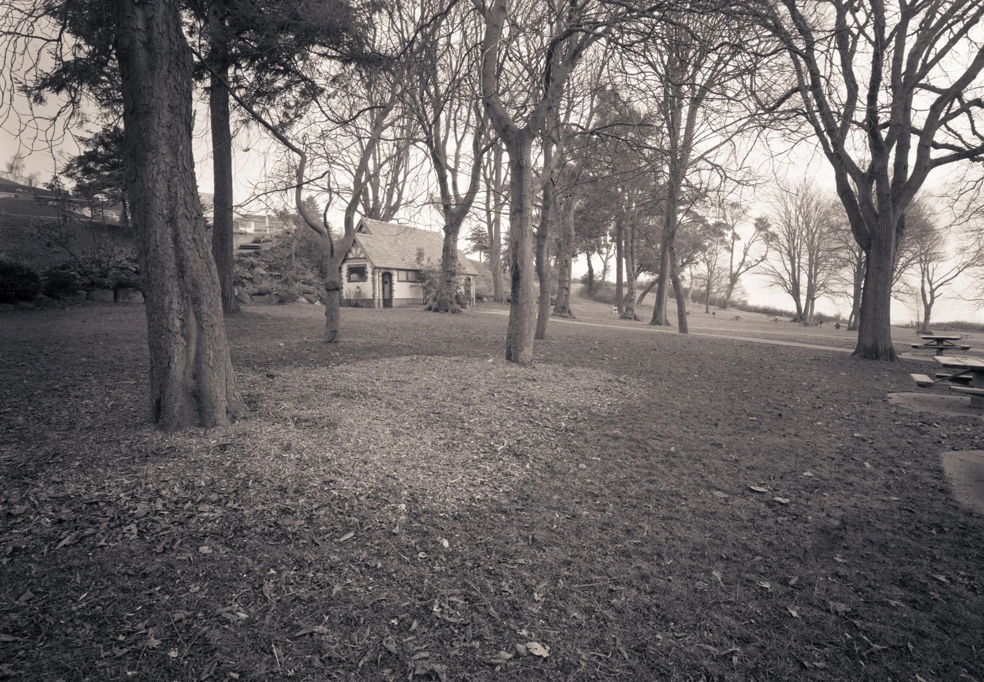 Magnolia Park, Seattle, Washington, 2005