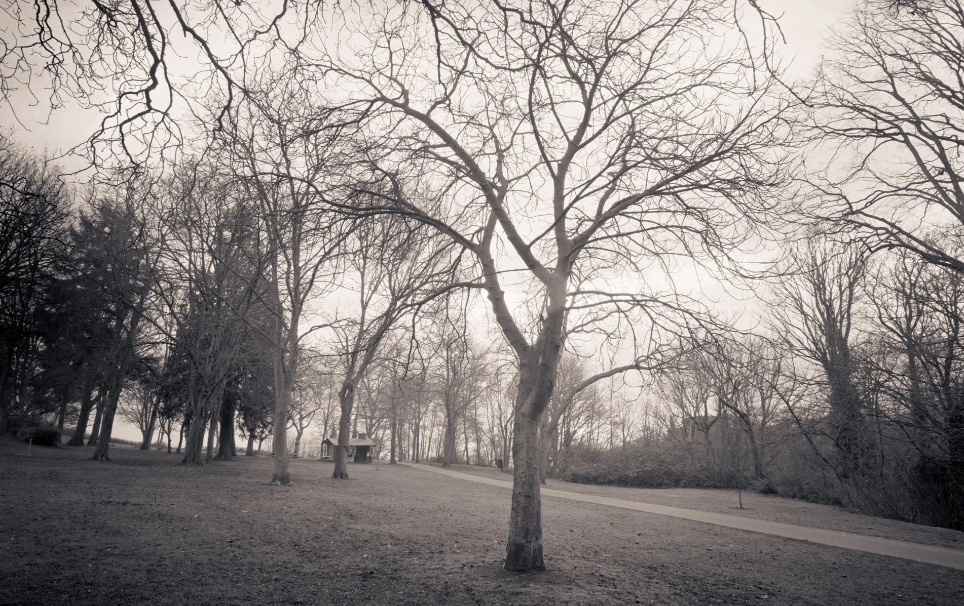 Magnolia Park, Seattle, Washington, 2005