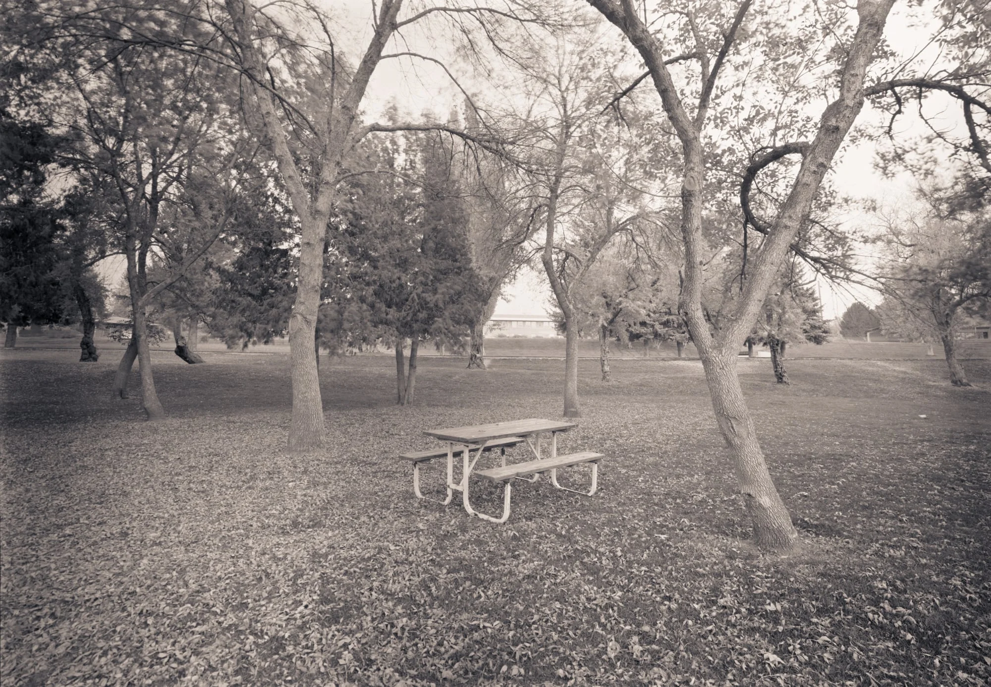 Picnic Bench, Smith Park, Rexburg, Idaho, 2004