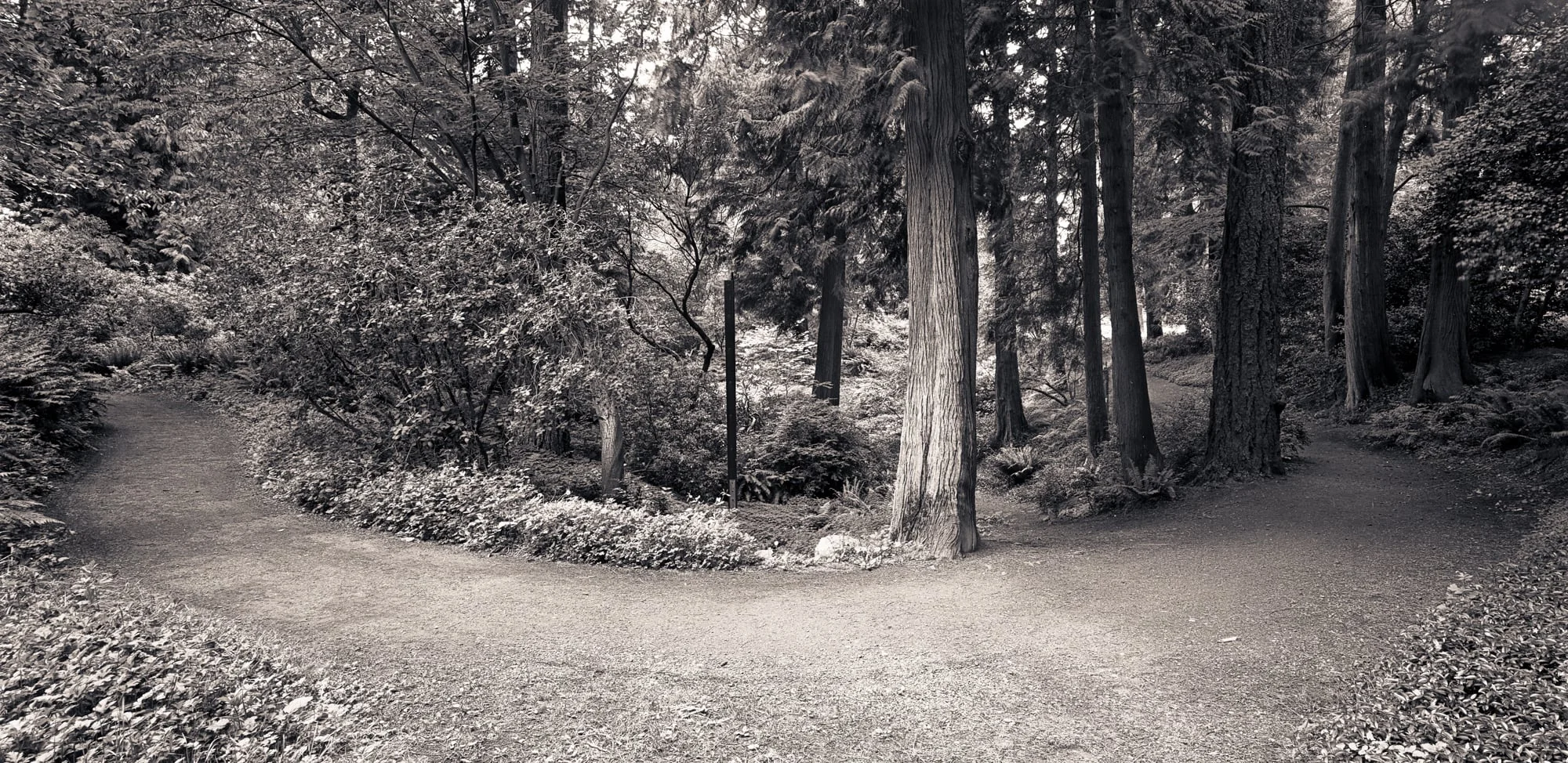 Washington Arboretum, Seattle, Washington, 2005