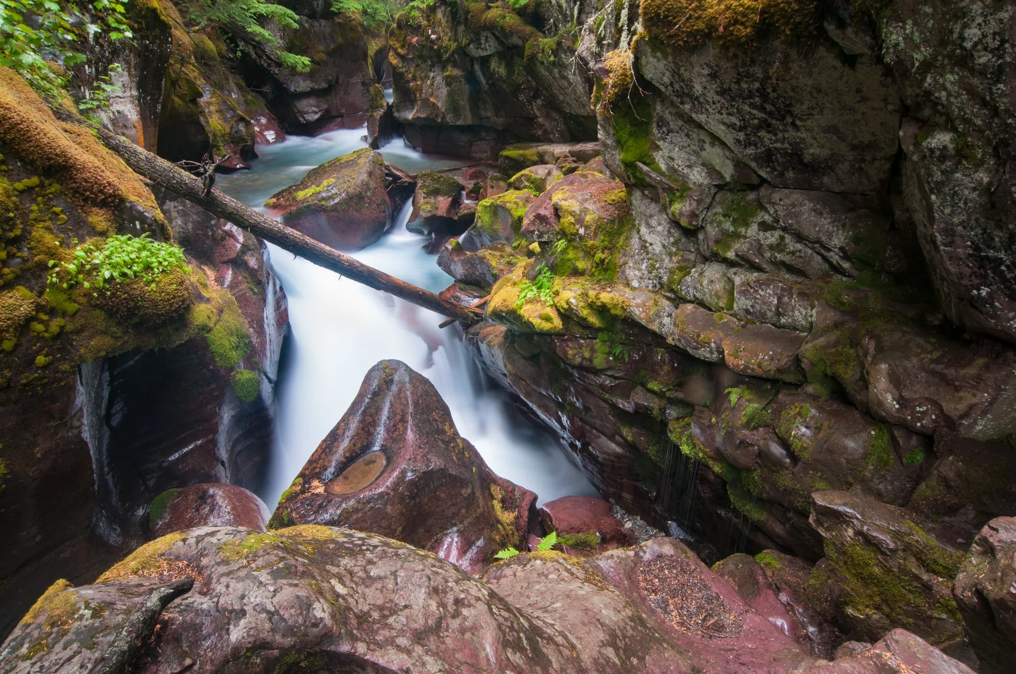 Avalanche Gorge, Glacier National Park, Montana 2015