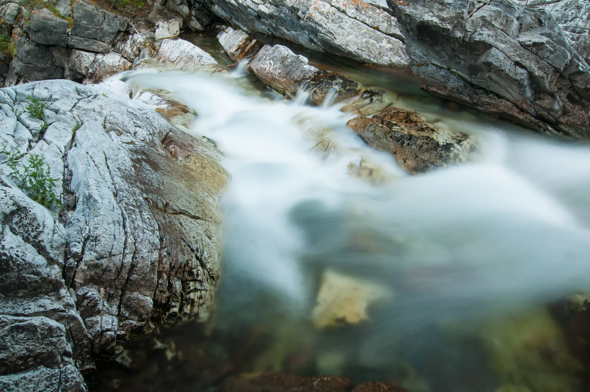 Cameron Creek, Waterton Lakes, National Park, Alberta 2015