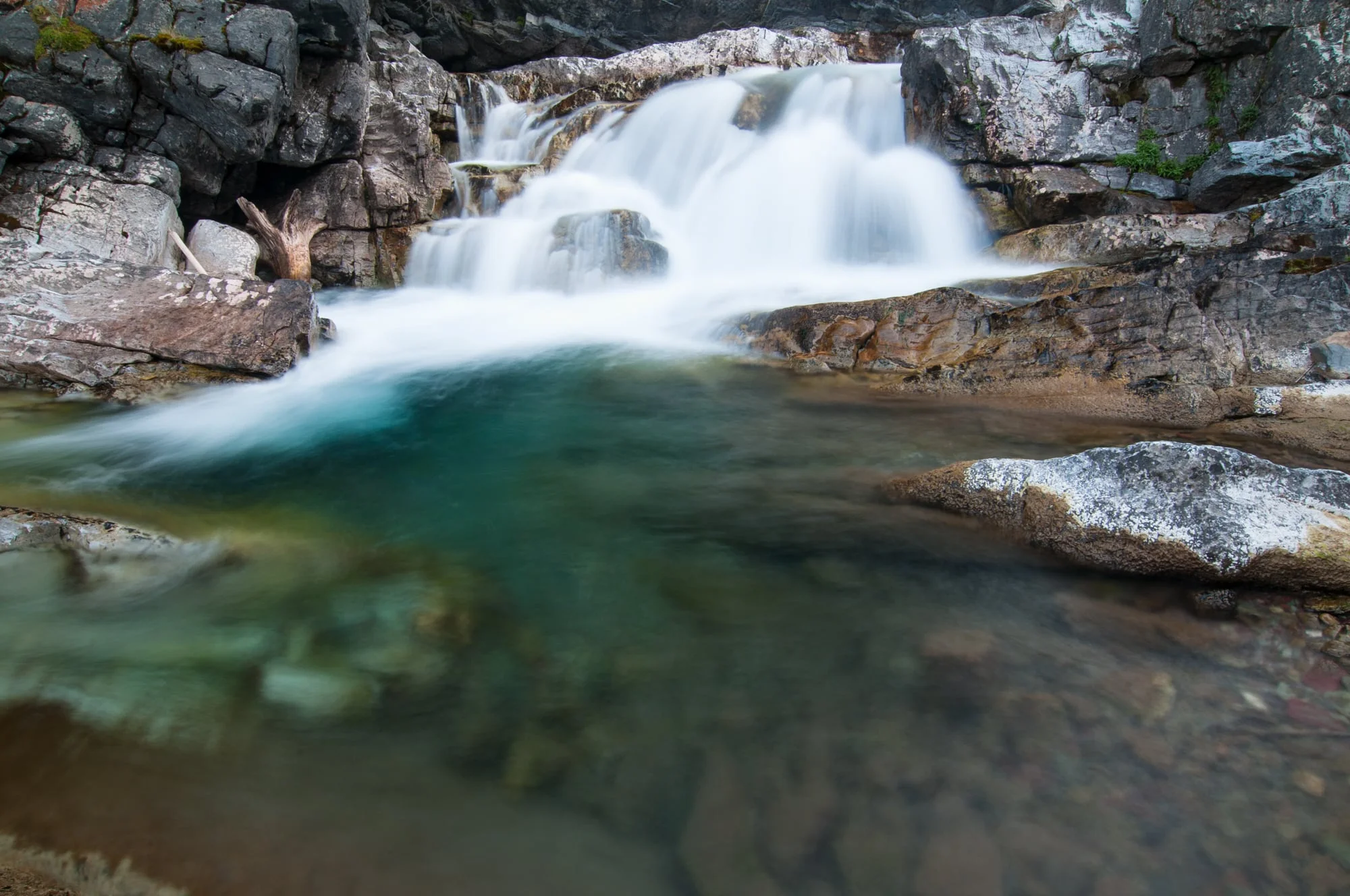 Cameron Creek, Waterton Lakes National Park, Alberta 2015