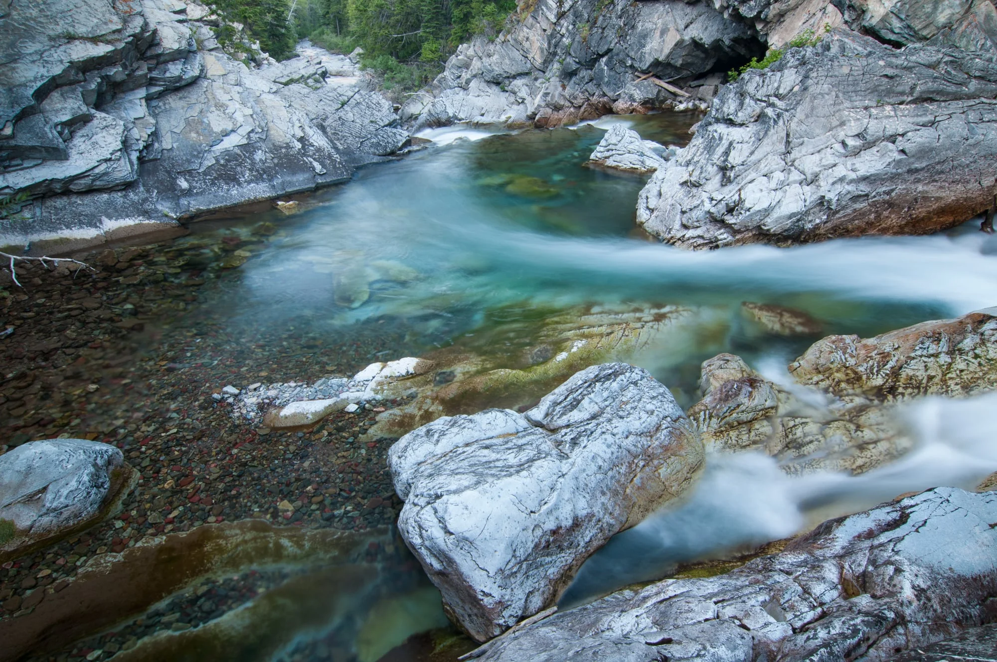 Cameron Creek, Waterton Lakes National Park, Alberta 2015