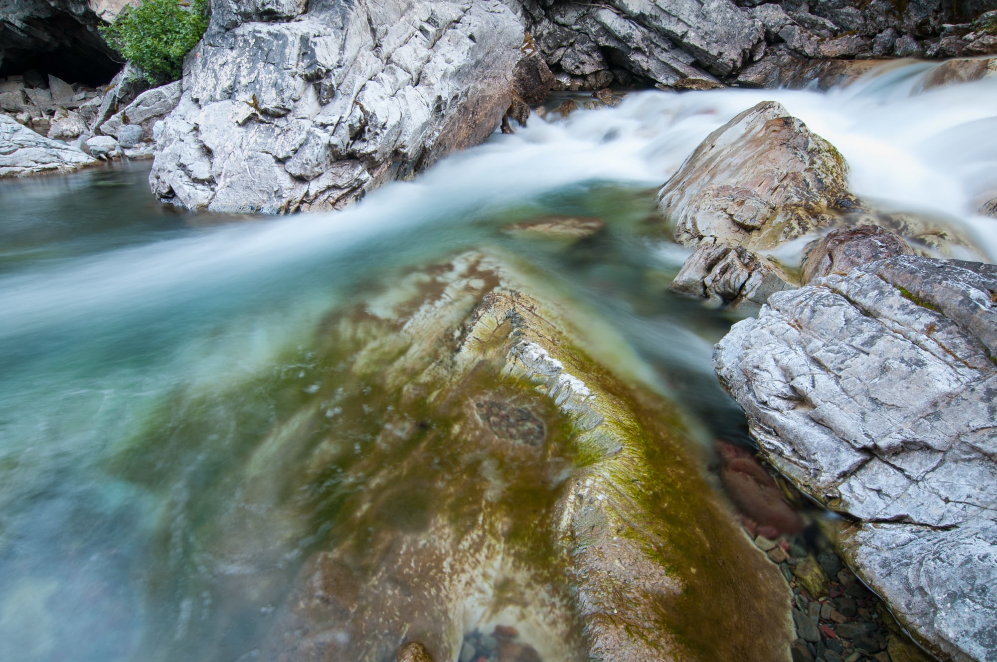 Cameron Creek, Waterton Lakes National Park, Alberta 2015