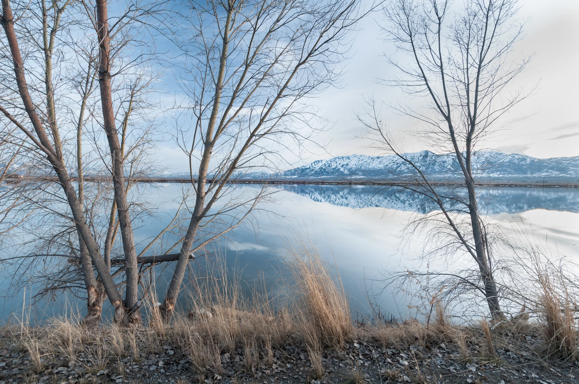 Cutler Marsh Near Benson Marina, Cache Valley, Utah, 2016