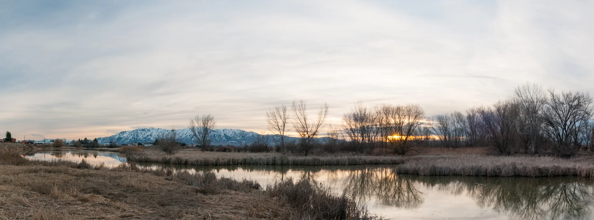 Marsh, Benson, Utah, 2016