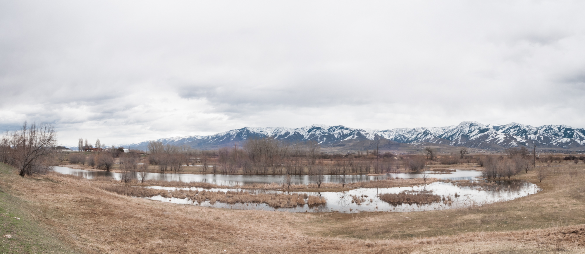 Bear River, Amalga, Utah, 2016