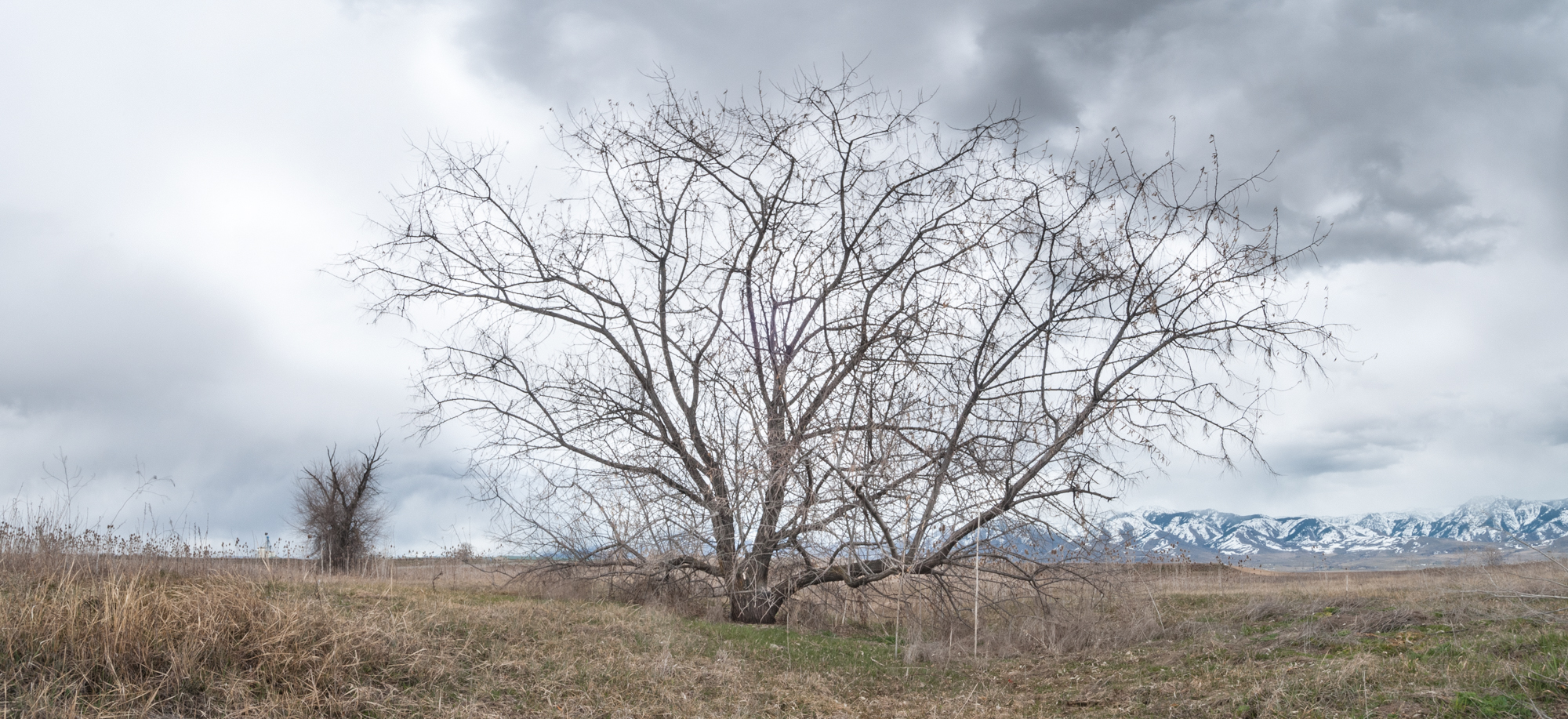 Bear River Bottoms Wildlife Management Area, Utah, 2016