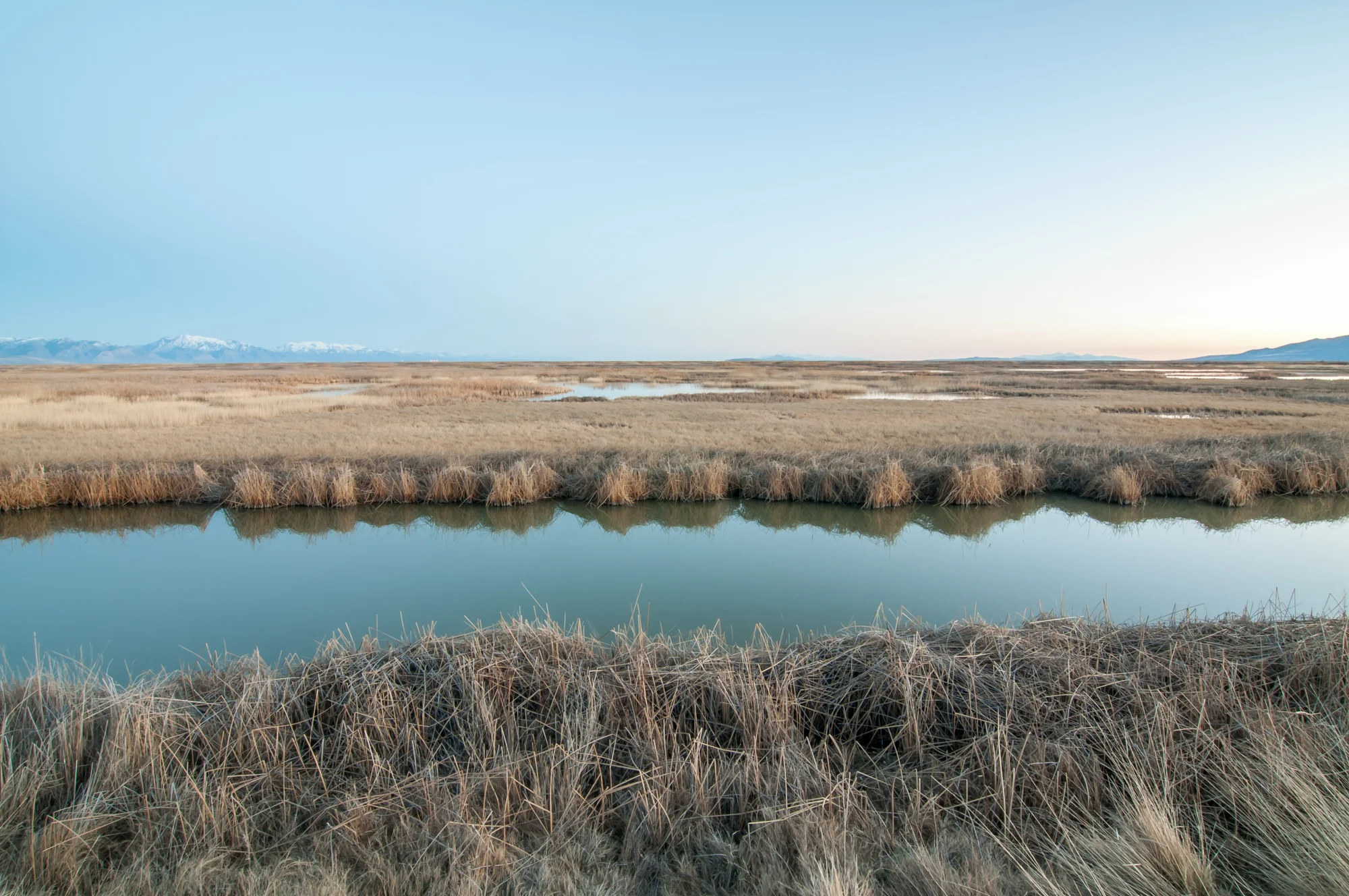 Bear River Migratory Bird Refuge, Utah, 2015