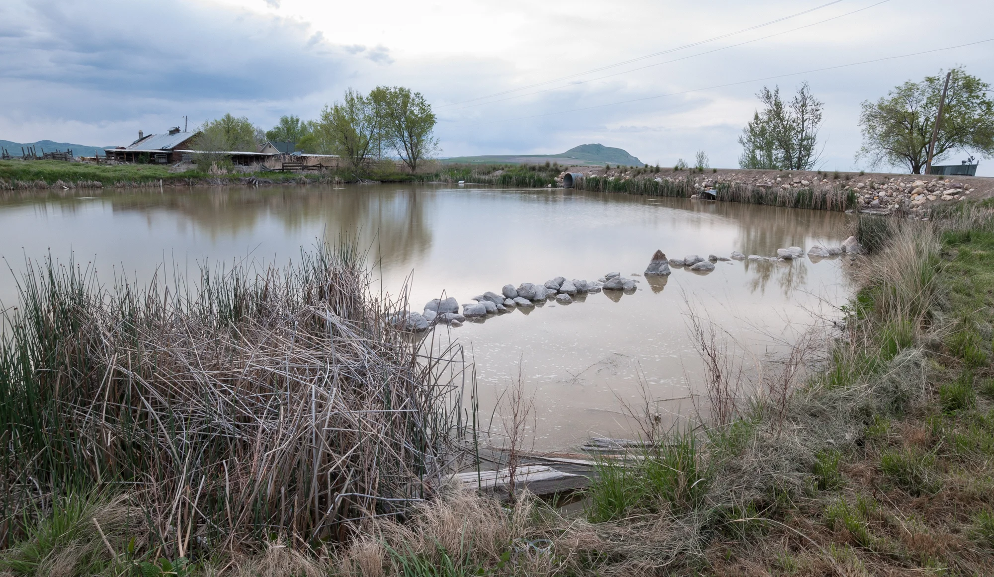 Clay Slough, Utah, 2016